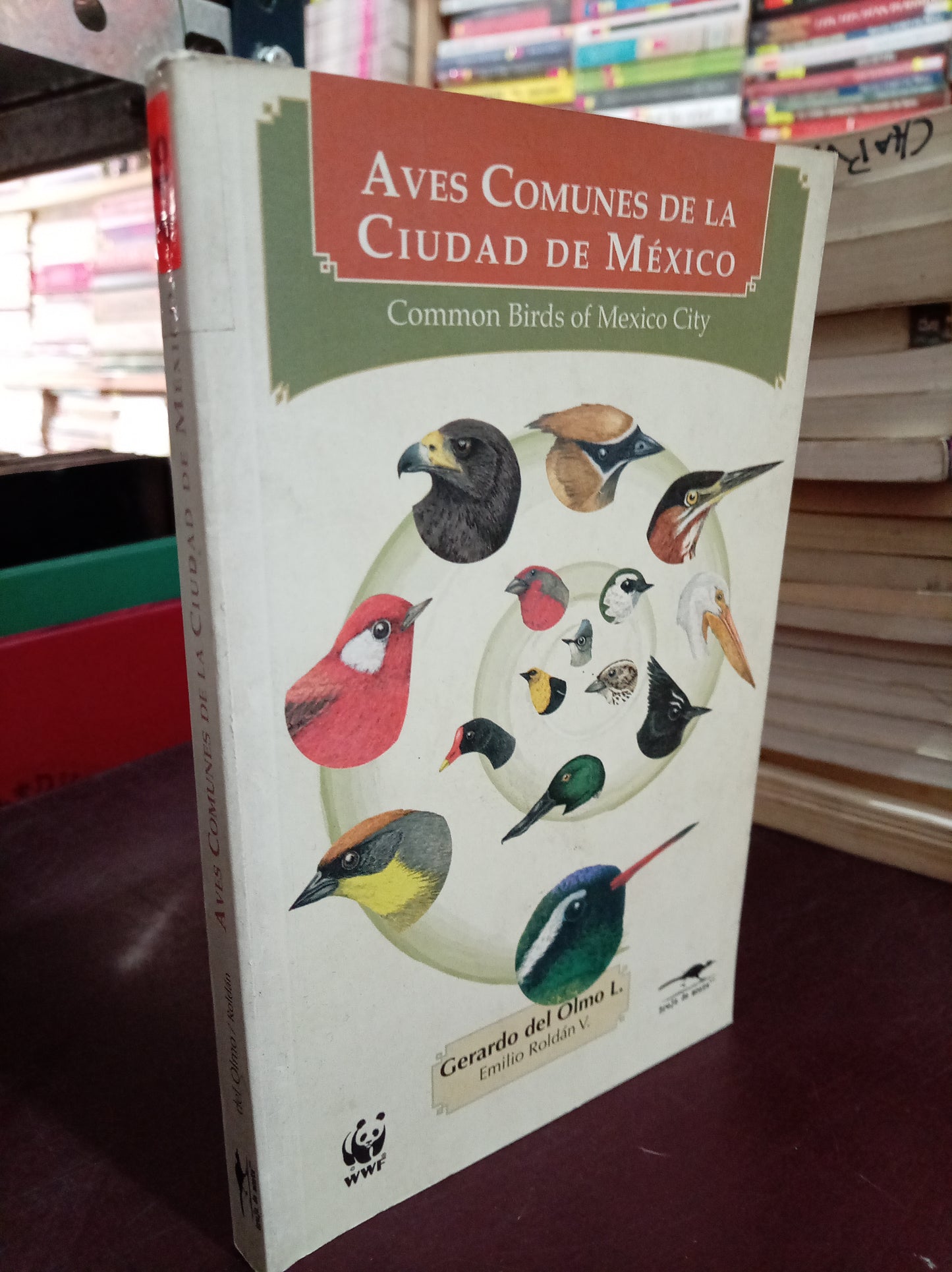 AVES COMUNES DE LA CIUDAD DE MEXICO POR GERARDO DEL OLMO L., EMILIO ROLDAN V. USADO OFICIOS LITERARIO 305