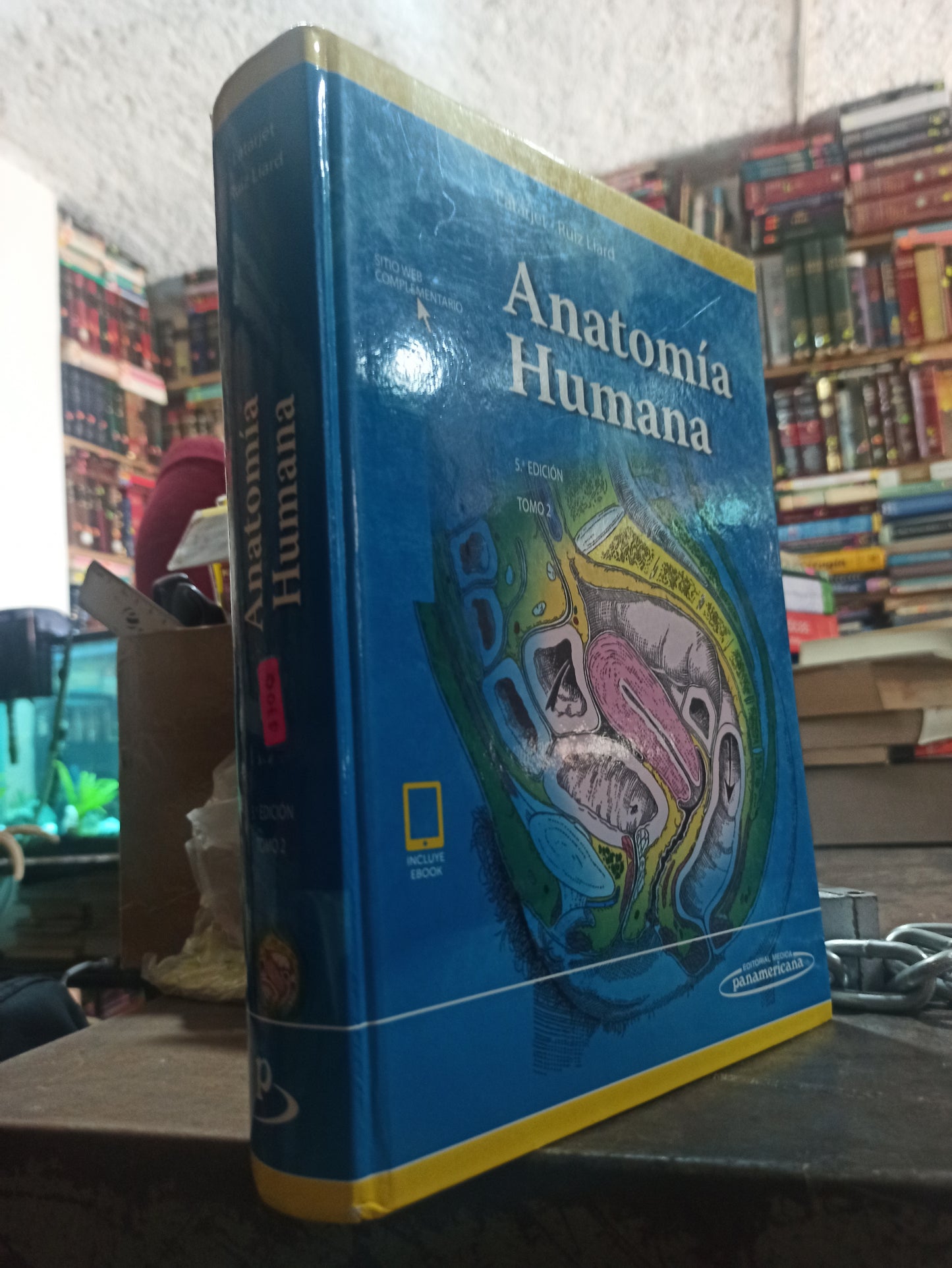 ANATOMIA HUMANA POR LATARJET Y RUIZ LIARD USADO SALUD ALDAMA