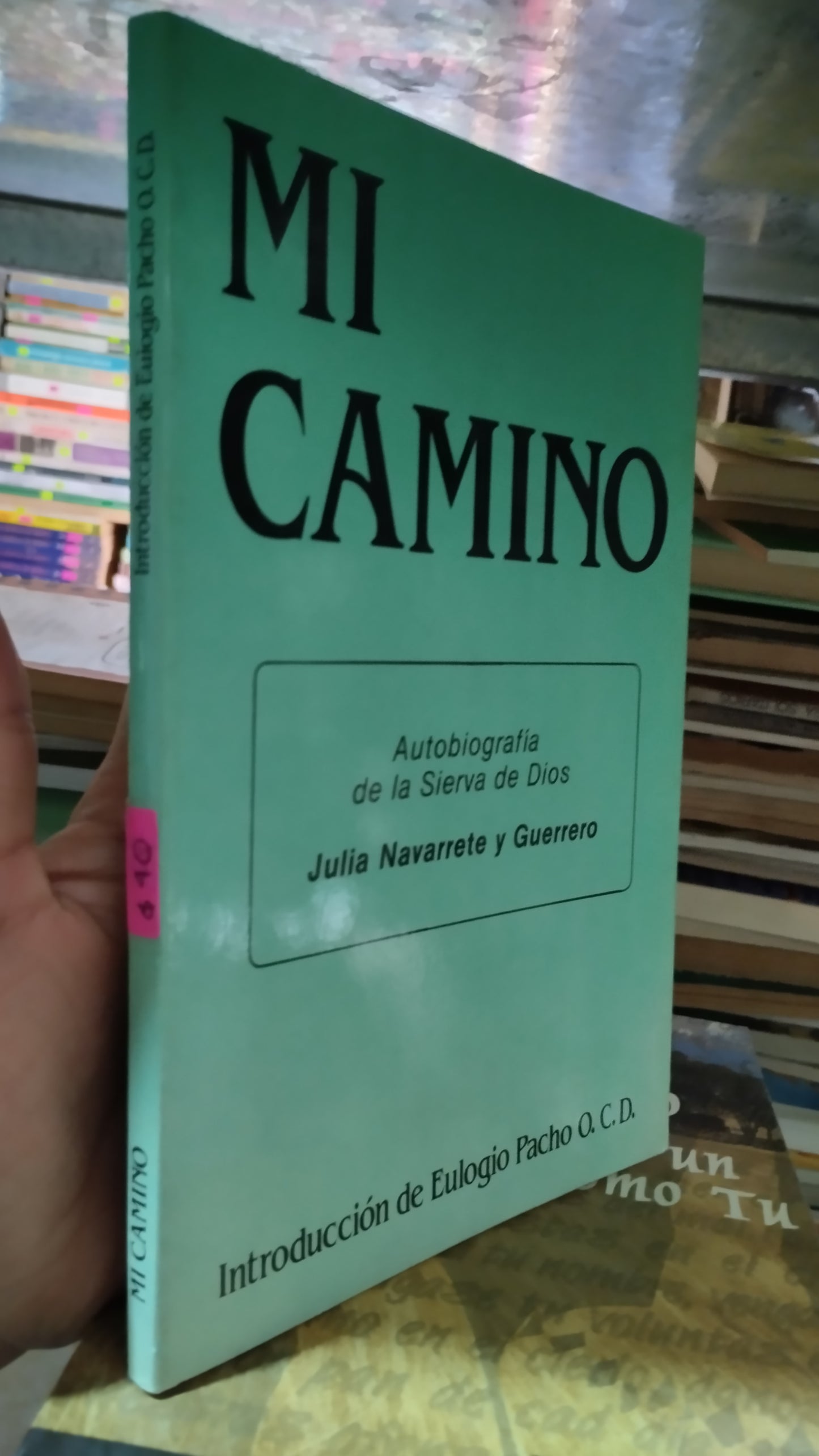 MI CAMINO INTRODUCCIÓN DE EULOGIO PACHO POR JULIA NAVARRETE Y GUERRERO LIBRO USADO RELIGION ALDAMA