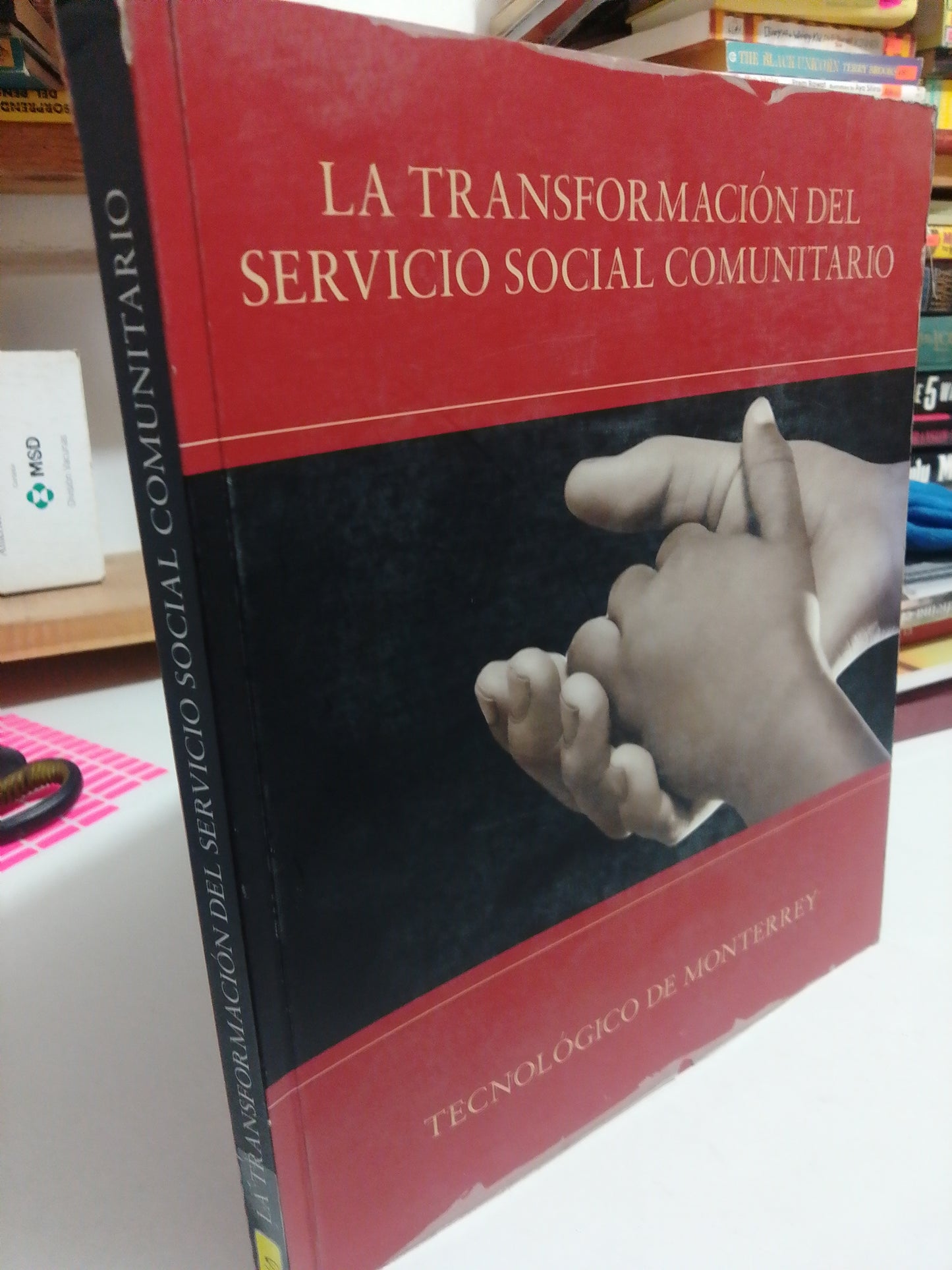 LA TRANSFORMACILN DEL SERVICIO SOCIAL COMUNITARIO USADO HISTORIA JUÁREZ