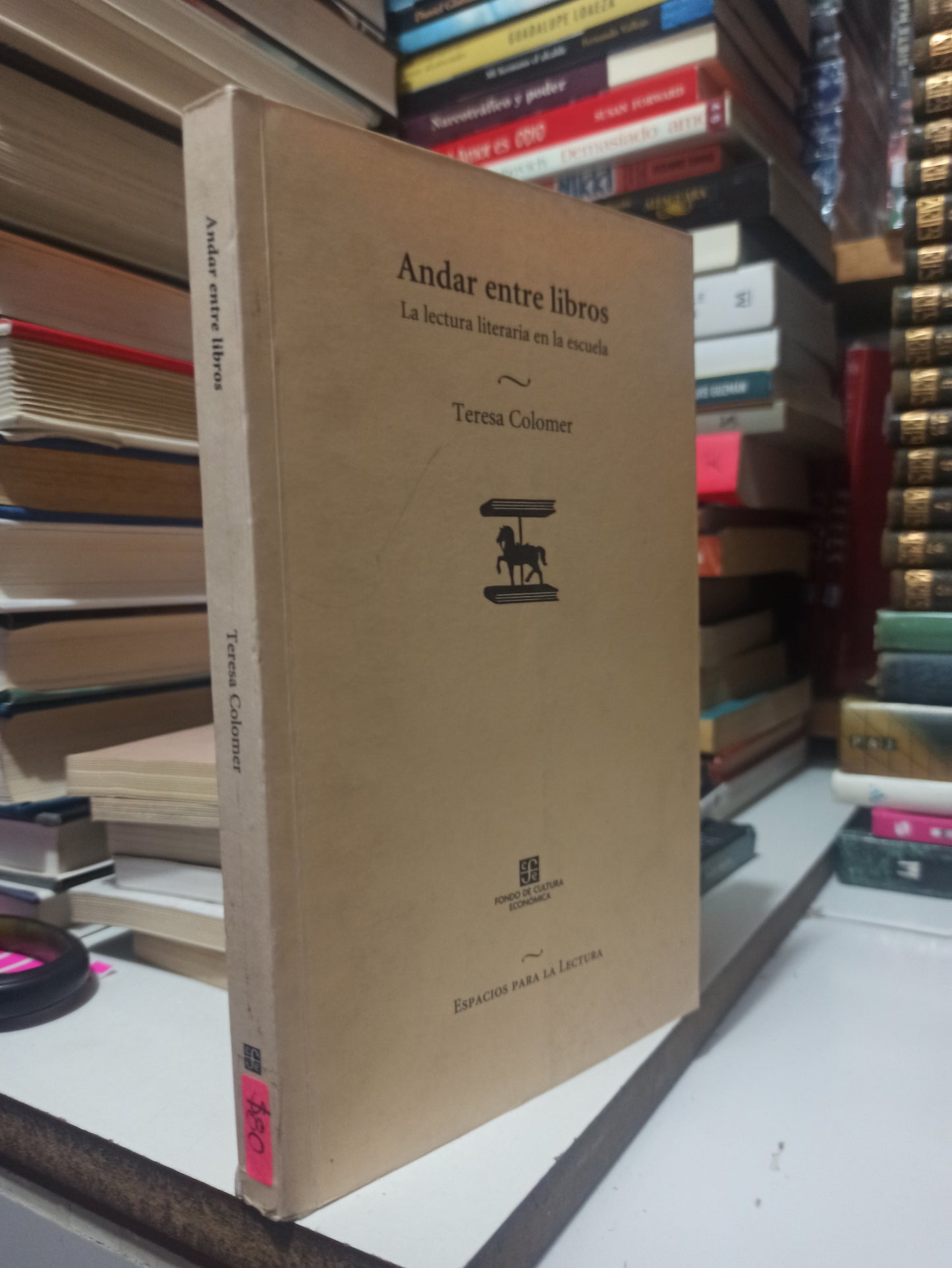 ANDAR ENTRE LIBROS POR TERESA COLOMER USADO NOVELAS JUÁREZ