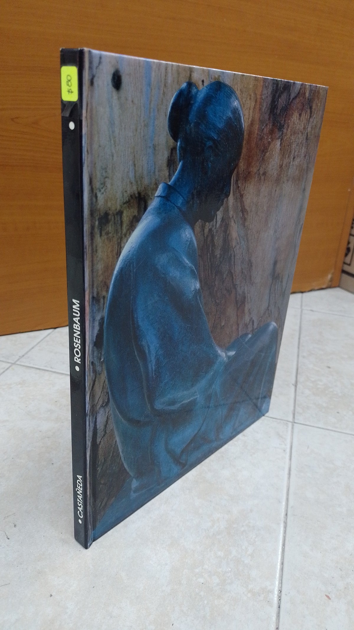 LA MUJER MAGIA Y FORMA POR FELIPE CASTAÑEDA USADO ARTE JUAREZ 515