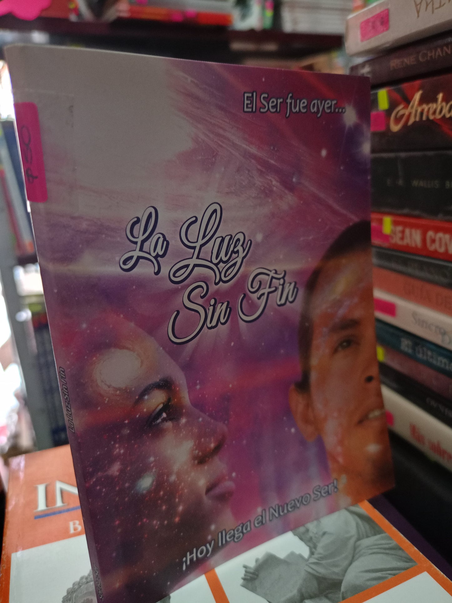 LA LUZ SIN FIN USADO S.PERSONAL LITERARIO 305