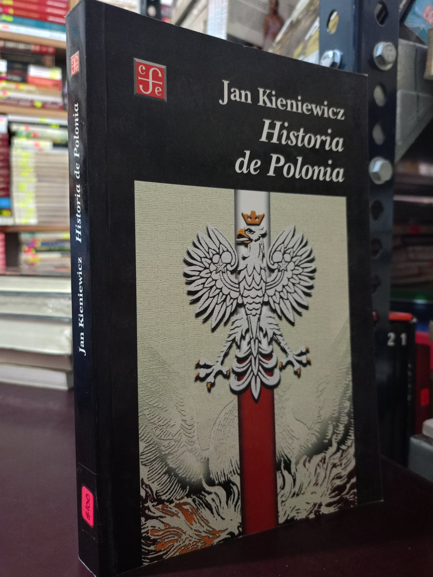 HISTORIA DE POLONIA POR JAN KIENIEWICZ USADO HISTORIA LITERARIO 305