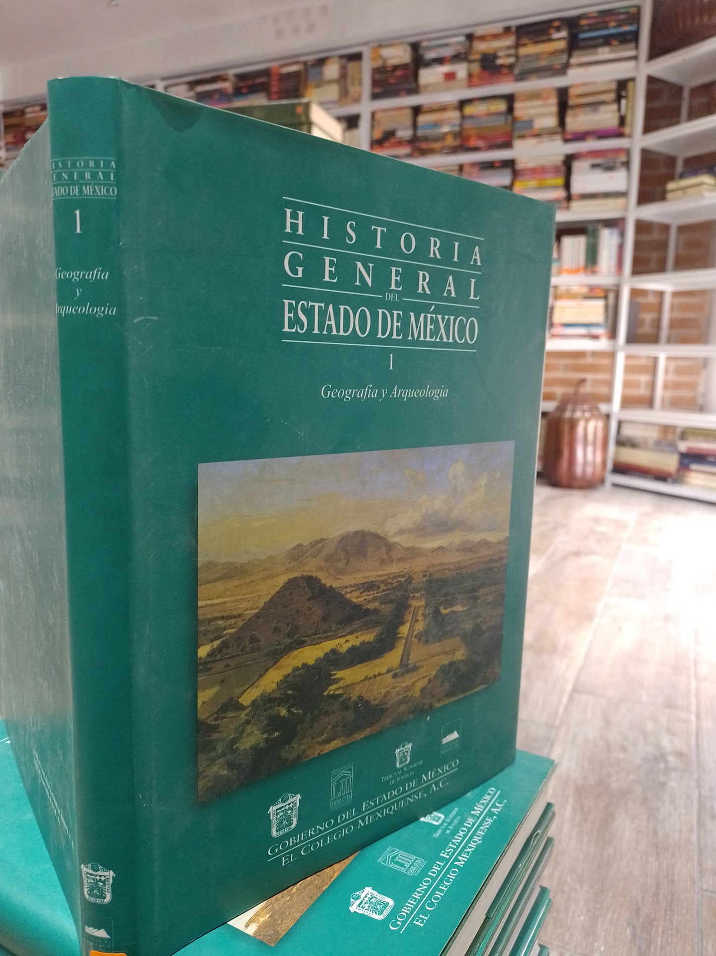 HISTORIA GEMERAL DEL ESTADO DE MEXICO 1 GEOGRAFIA Y ARQUEOLOGIA POR PORFIRIO GARCIA FERNAN GONZALEZ RICARDO JARAMILLO MORRISON LIMON BOYCE GERALD L MCGOWAN RUBEN NIETO JEFFREY R PARSONS YOKO SUGIURA YAMAMOTO ALEJANDRO TOVALIN USADO HISTORIA JUAREZ 515