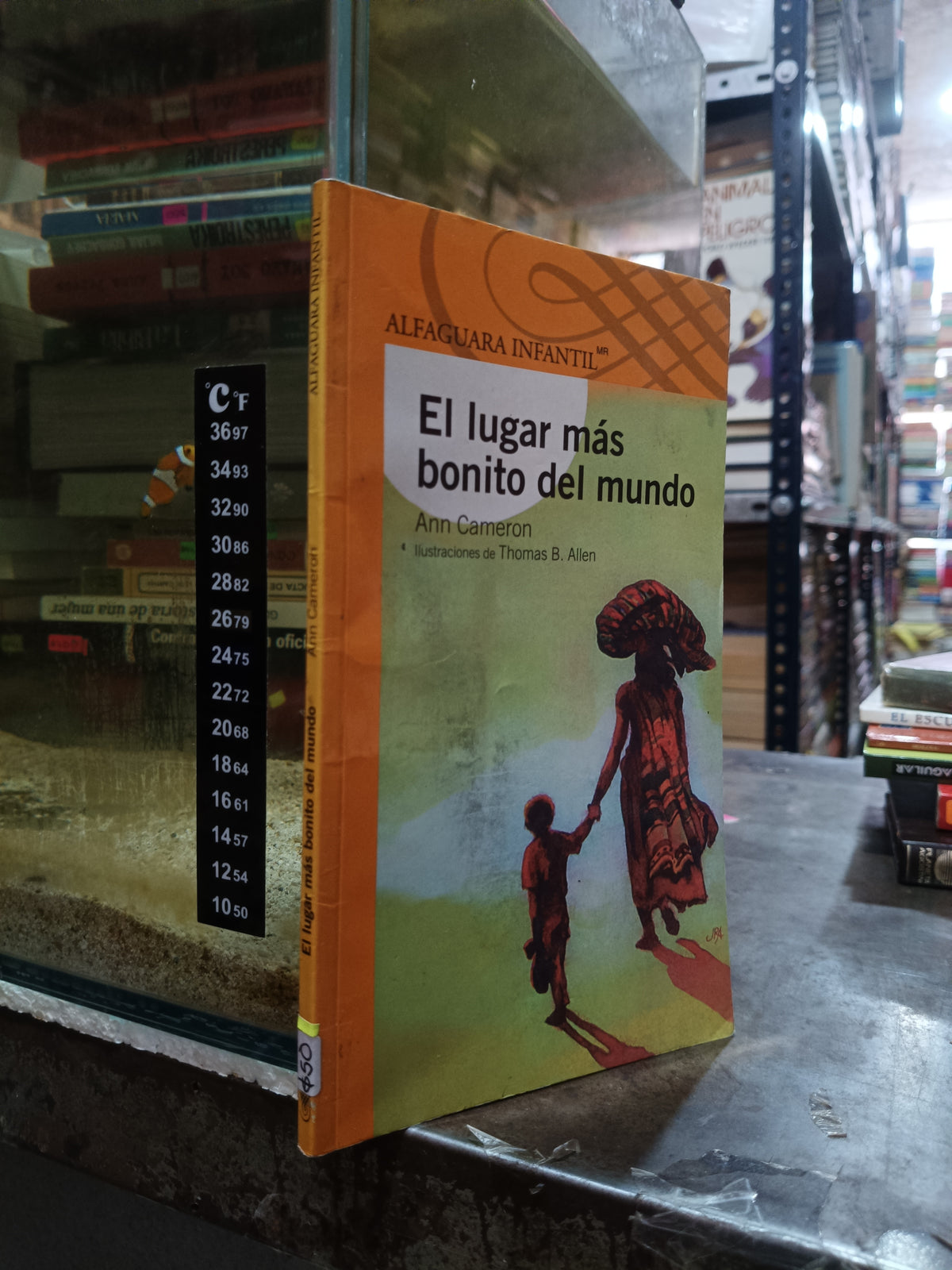 EL LUGAR MAS BONITO DEL MUNDO POR ANN CAMERON USADO INFANTIL ALDAMA