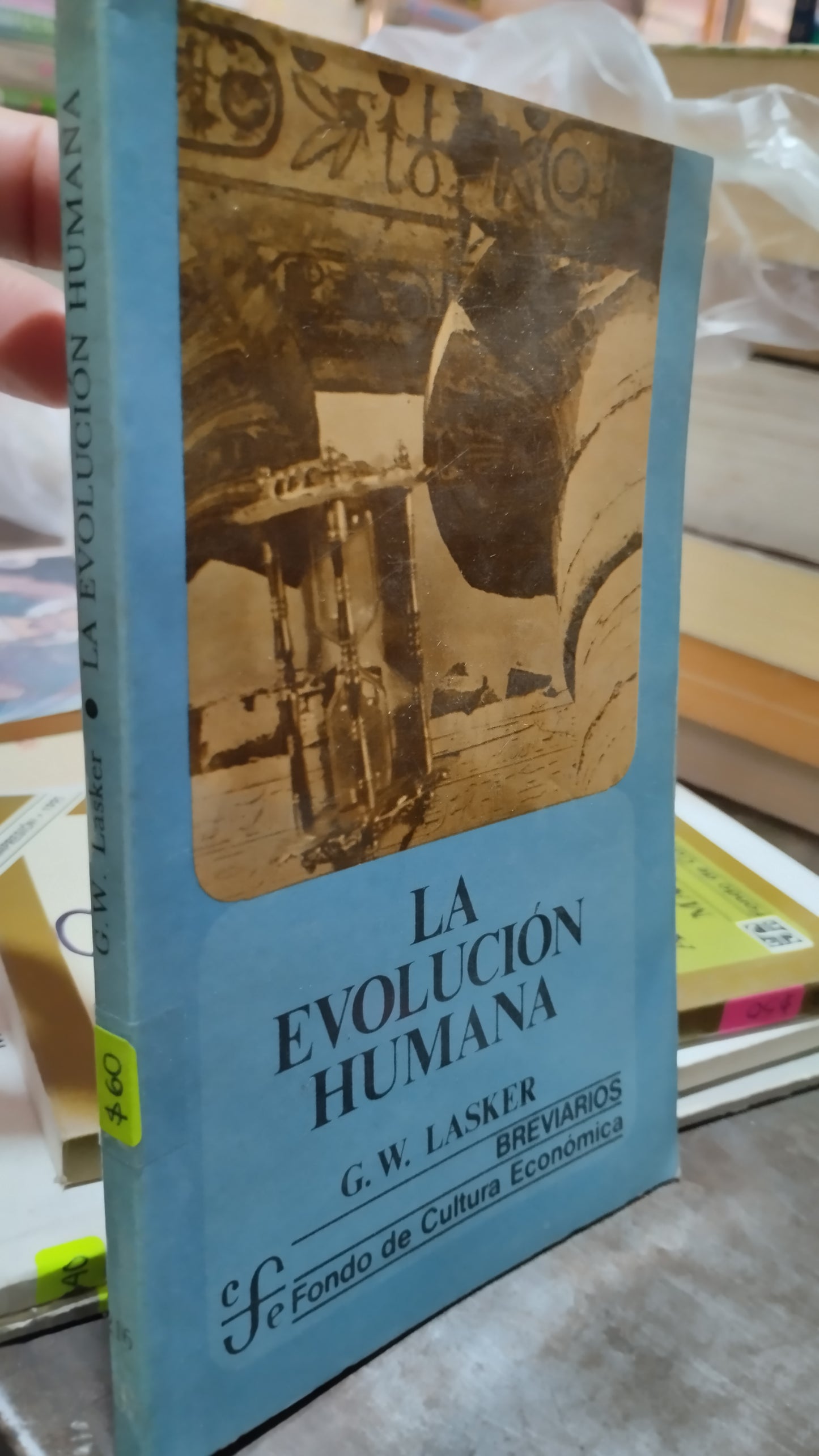 LA EVOLUCION HUMANA POR G W LASKER LIBRO USADO HISTORIA ALDAMA