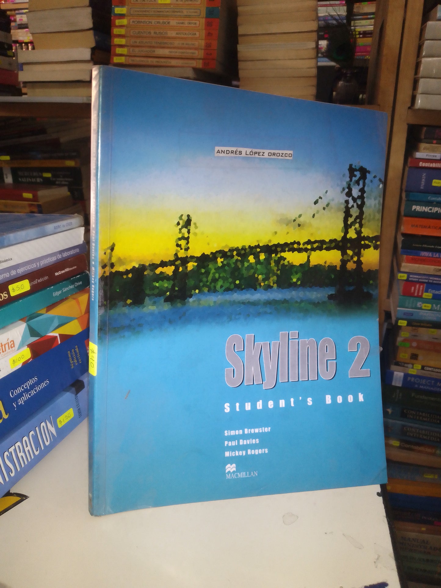 SKYLINE STUDENT'S BOOK 2 SIMON BREWSTER, PAUL DAVIES Y MICKEY ROGERS USADO IDIOMAS LITERARIO 207