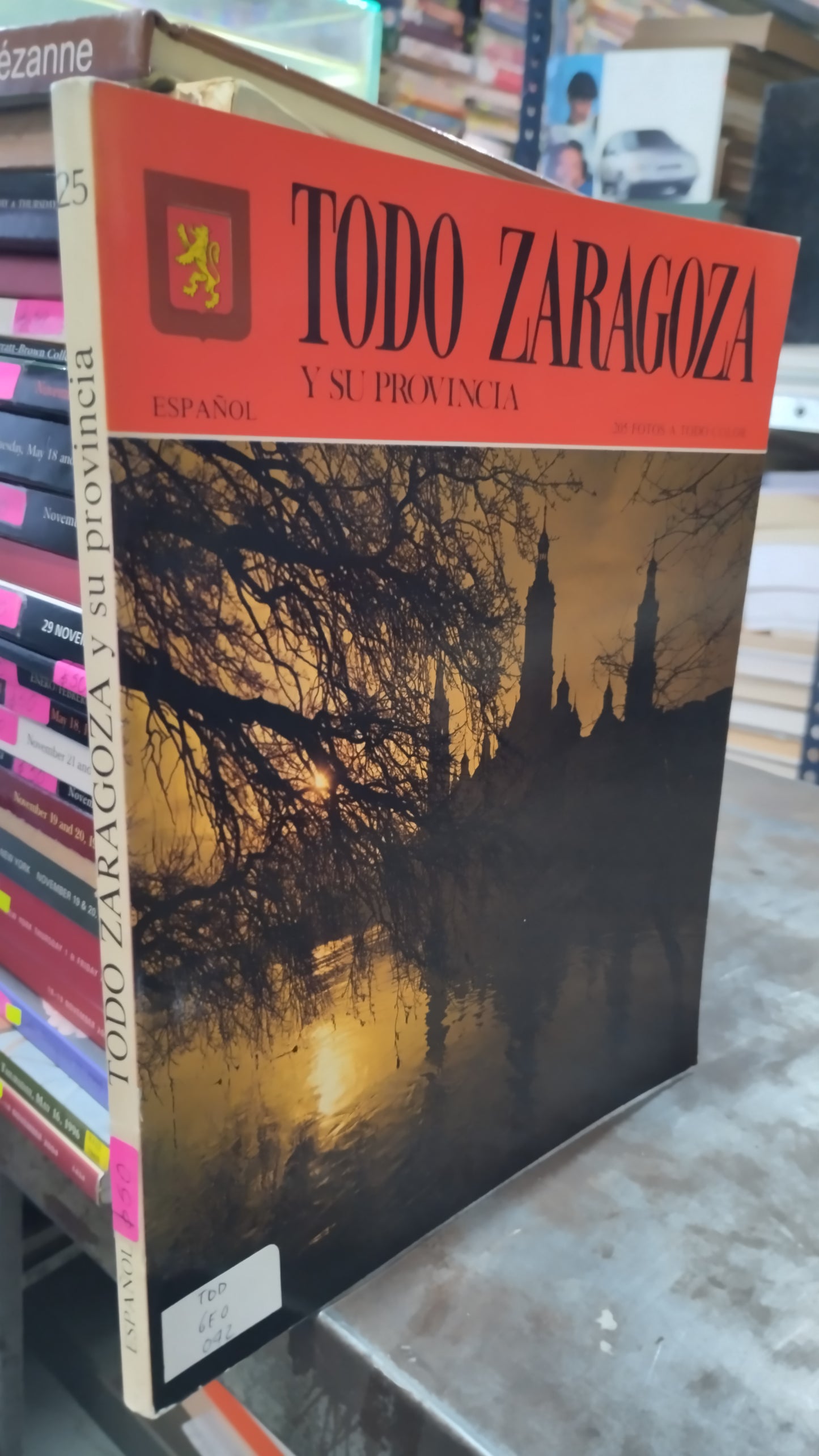 TODO ZARAGOZA Y SU PROVIDENCIA LIBRO USADO ARTE ALDAMA
