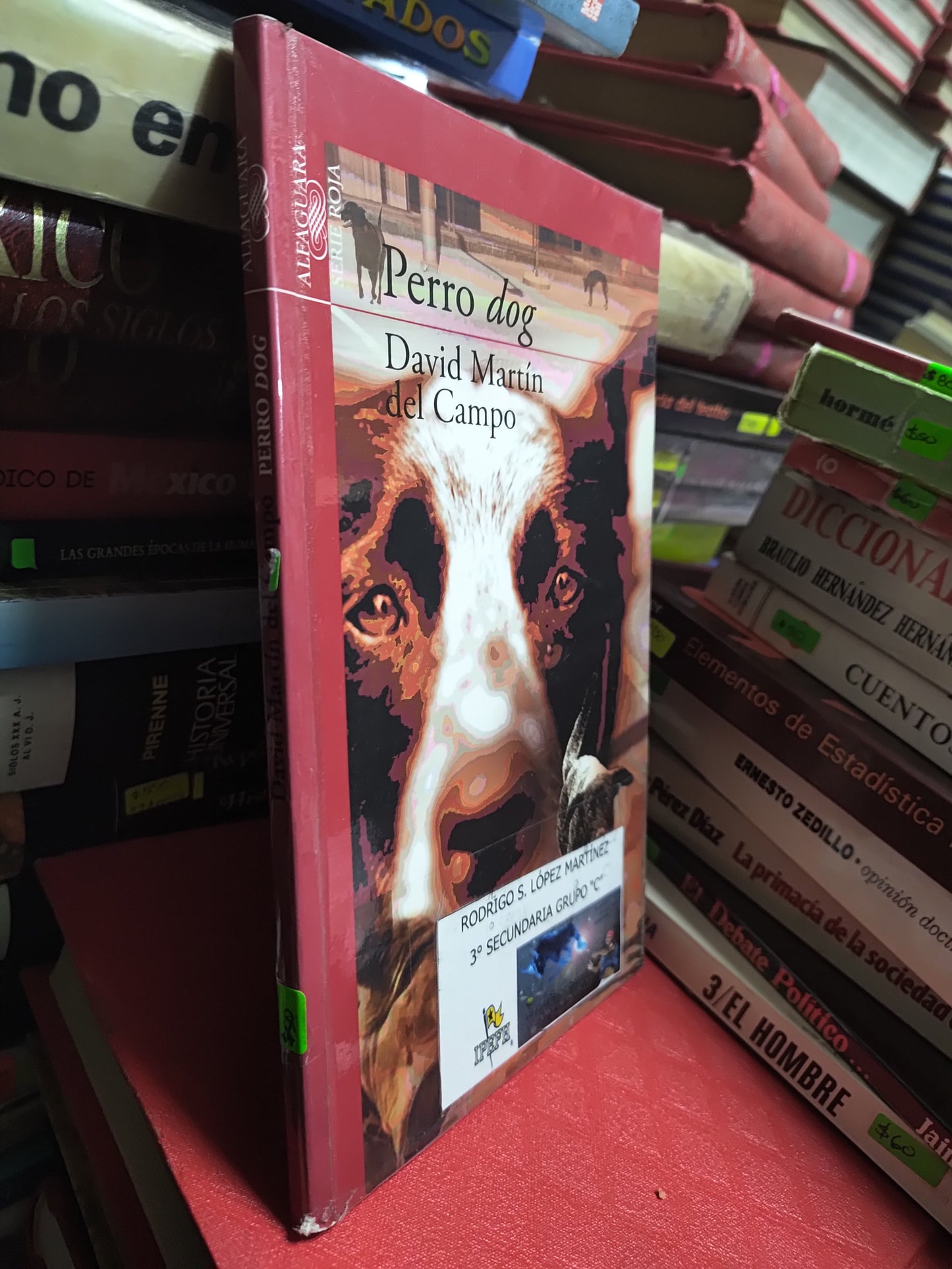 PERRO DOG POR DAVID MARTIN DEL CAMPO USADO NOVELAS JUAREZ 507