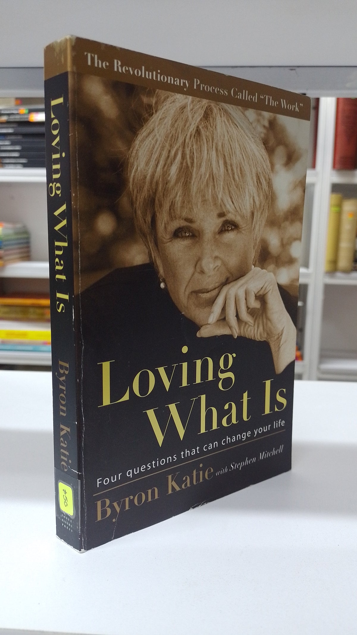 LOVING WHAT IS POR BYRON KATIE USADO IDIOMAS JUAREZ 515