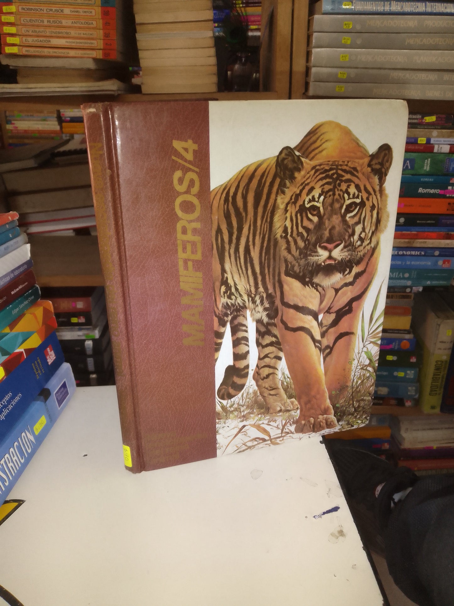 NUEVA ENCICLOPEDIA DEL REINO ANIMAL MAMÍFEROS/4 USADO BIOLOGÍA LITERARIO 207