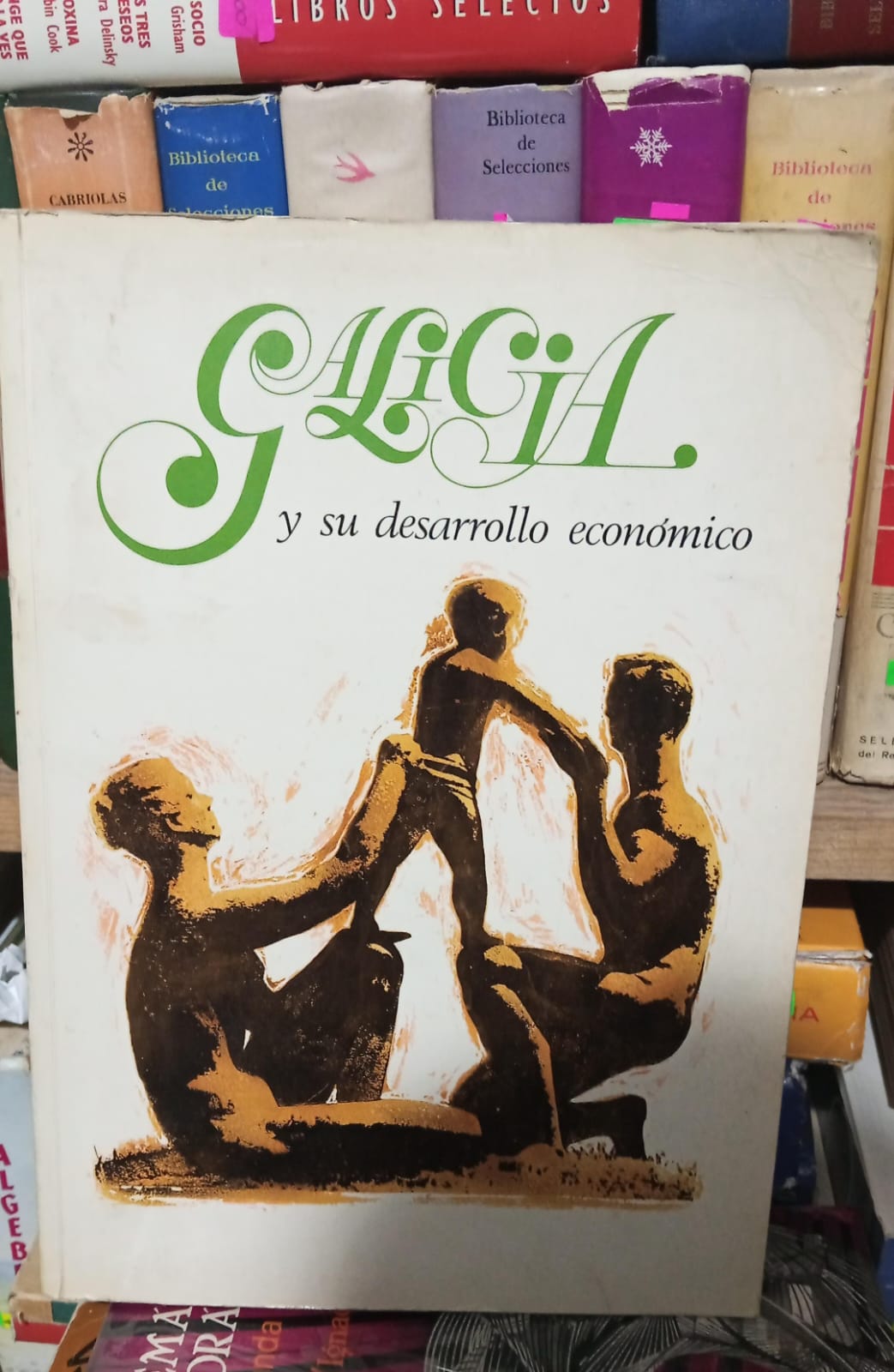 ALICIA Y SU DESAROLLO ECONOMICO USADO HISTORIA JUAREZ 507