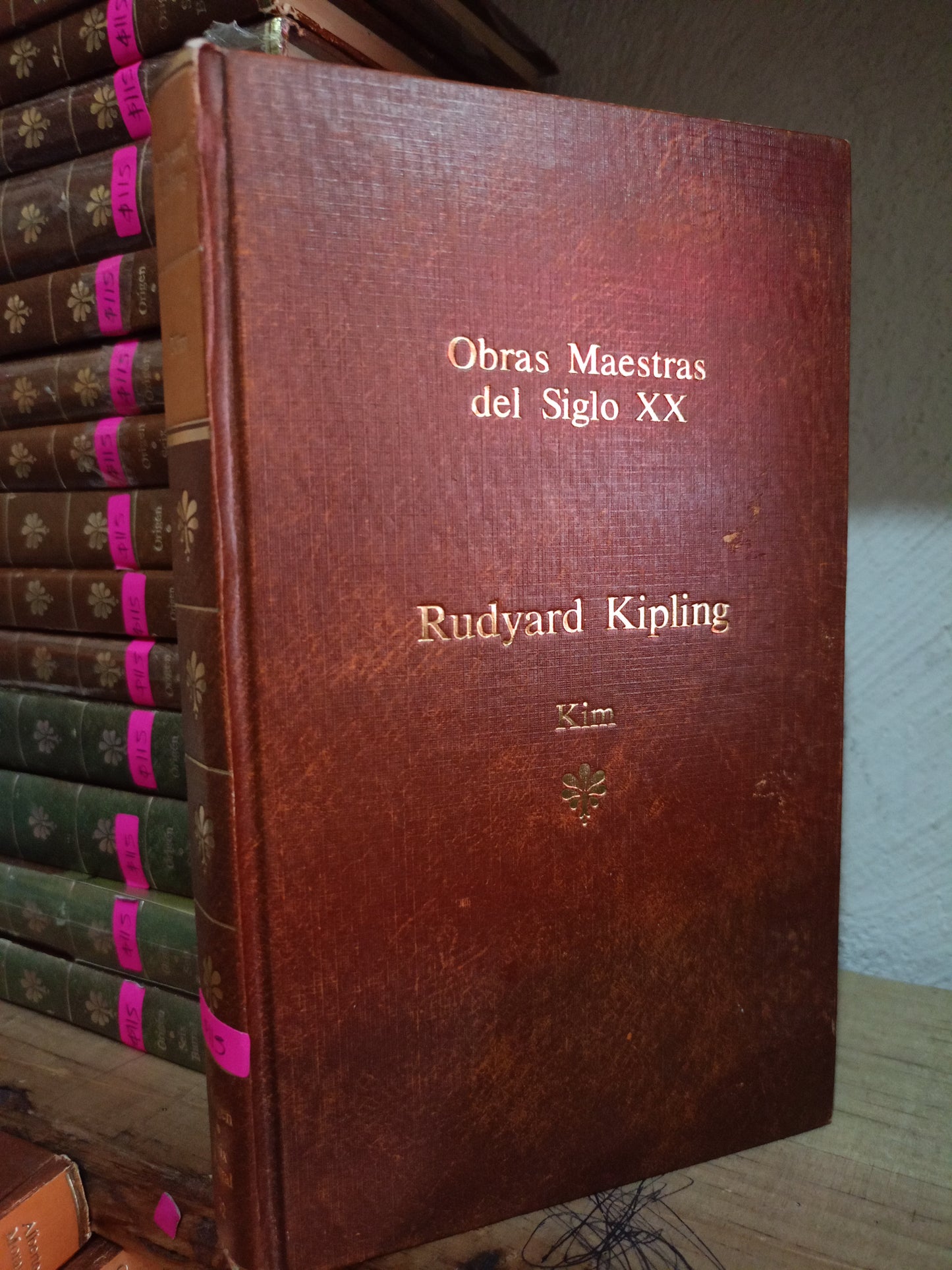 KIM RUDYARD KIPLING USADO NOVELA LITERARIO 305