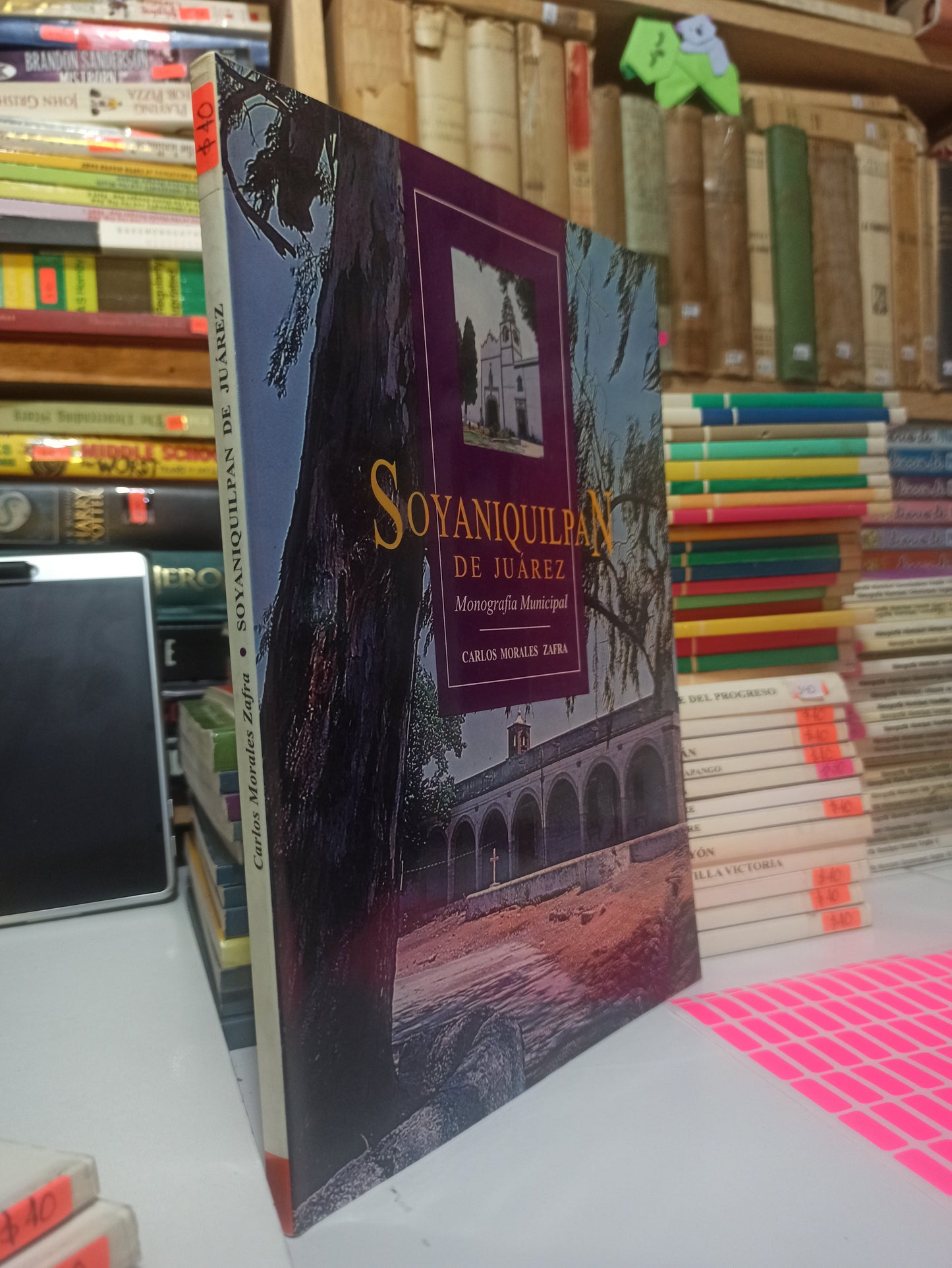 SOYANIQUILPAN DE JUAREZ POR CARLOS MORALES ZAFRA USADO EDOMED JUÁREZ
