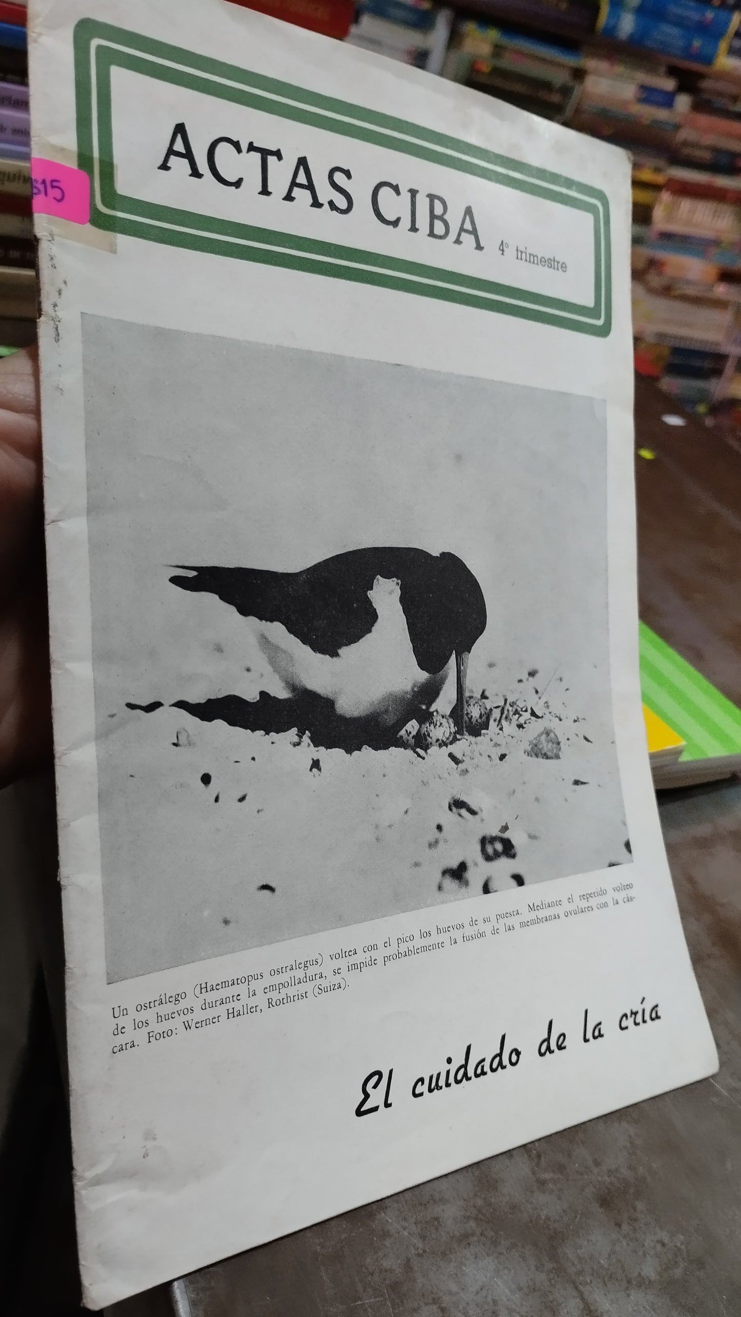 EL CUIDADO DE LA CRIA LIBRO USADO AGRICULTURA ALDAMA