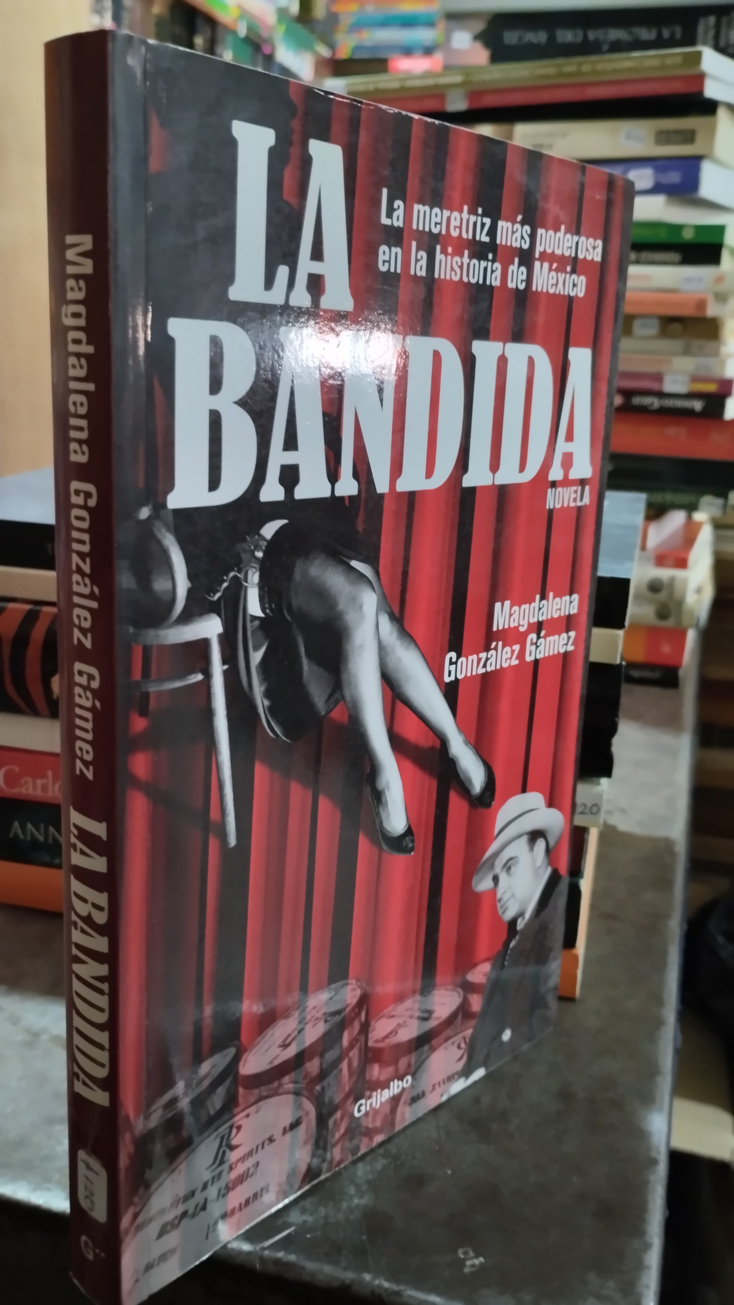 LA BANDIDA POR MAGDALENA GONZALEZ GAMEZ LIBRO USADO NOVELAS ALDAMA