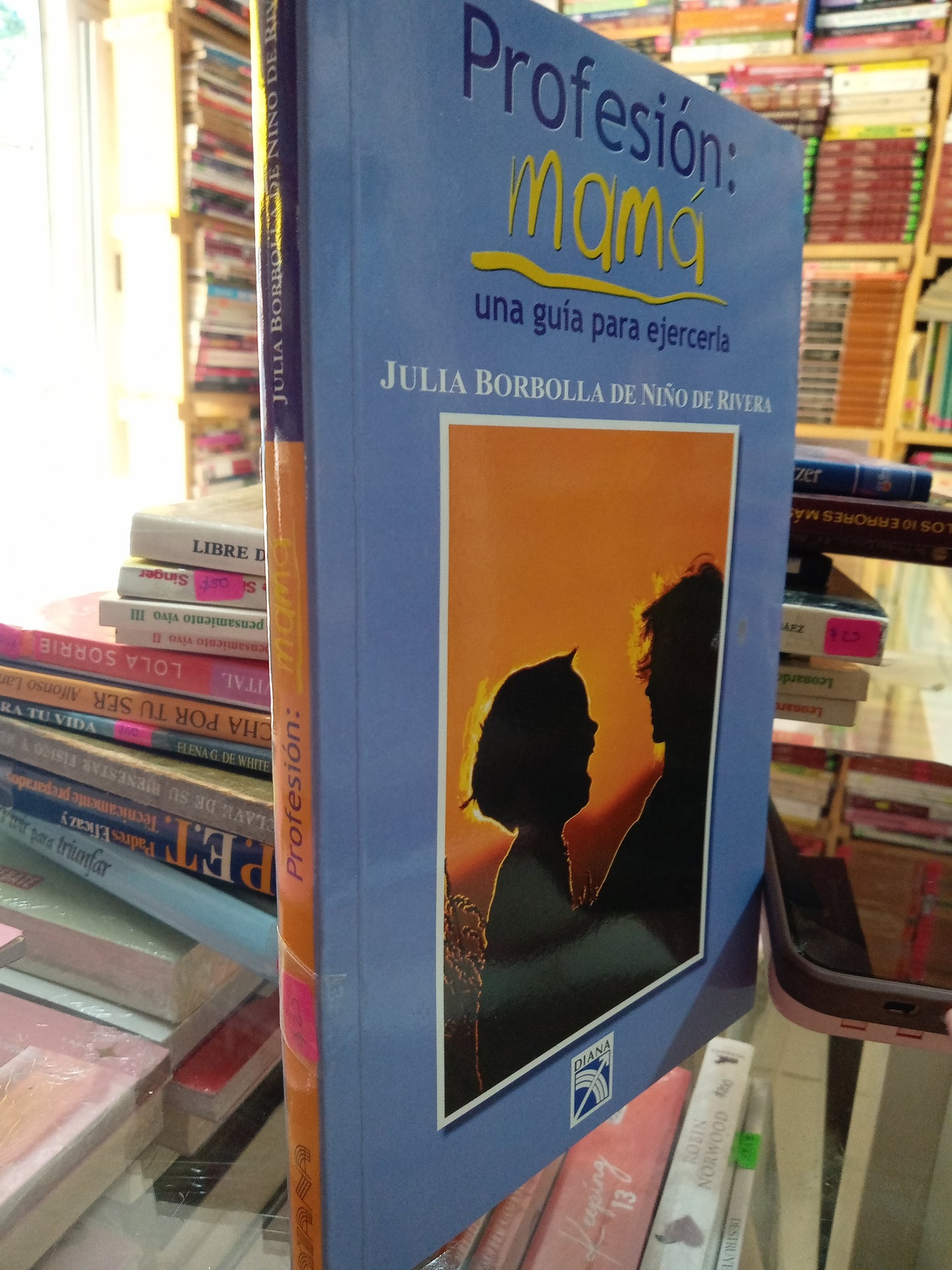 PROFESION MAMA UNA GUIA PARA EJERCERLA POR JULIA BORBOLLA DE NIÑOS DE RIVERA USADO SUPERACION PERSONAL JUÁREZ
