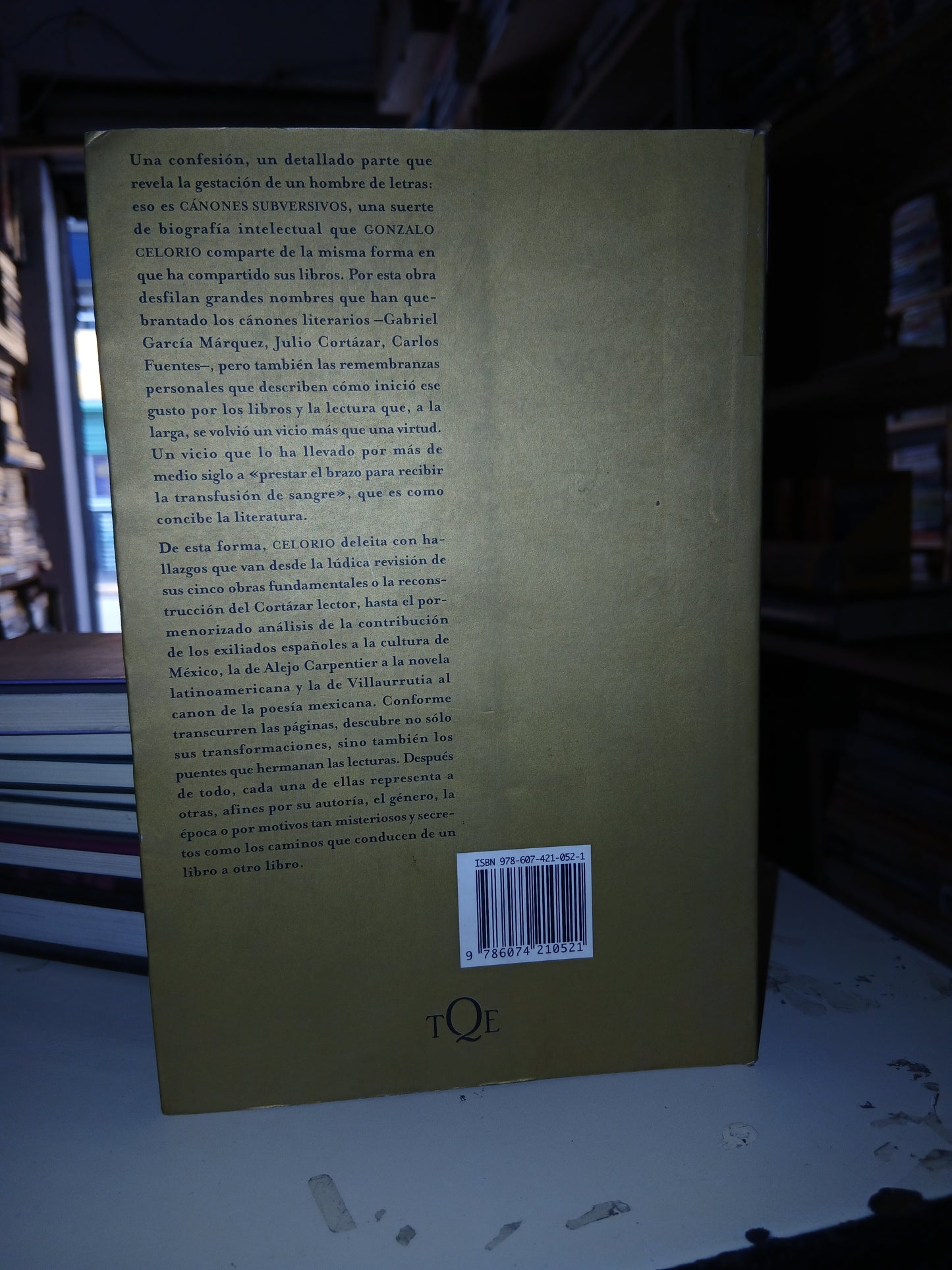 CAÑONES SUBVERSIVOS: ENSAYOS DE LITERATURA HISPANOAMERICANA POR GONZALO CELORIO USADO NOVELA LITERARIO 207