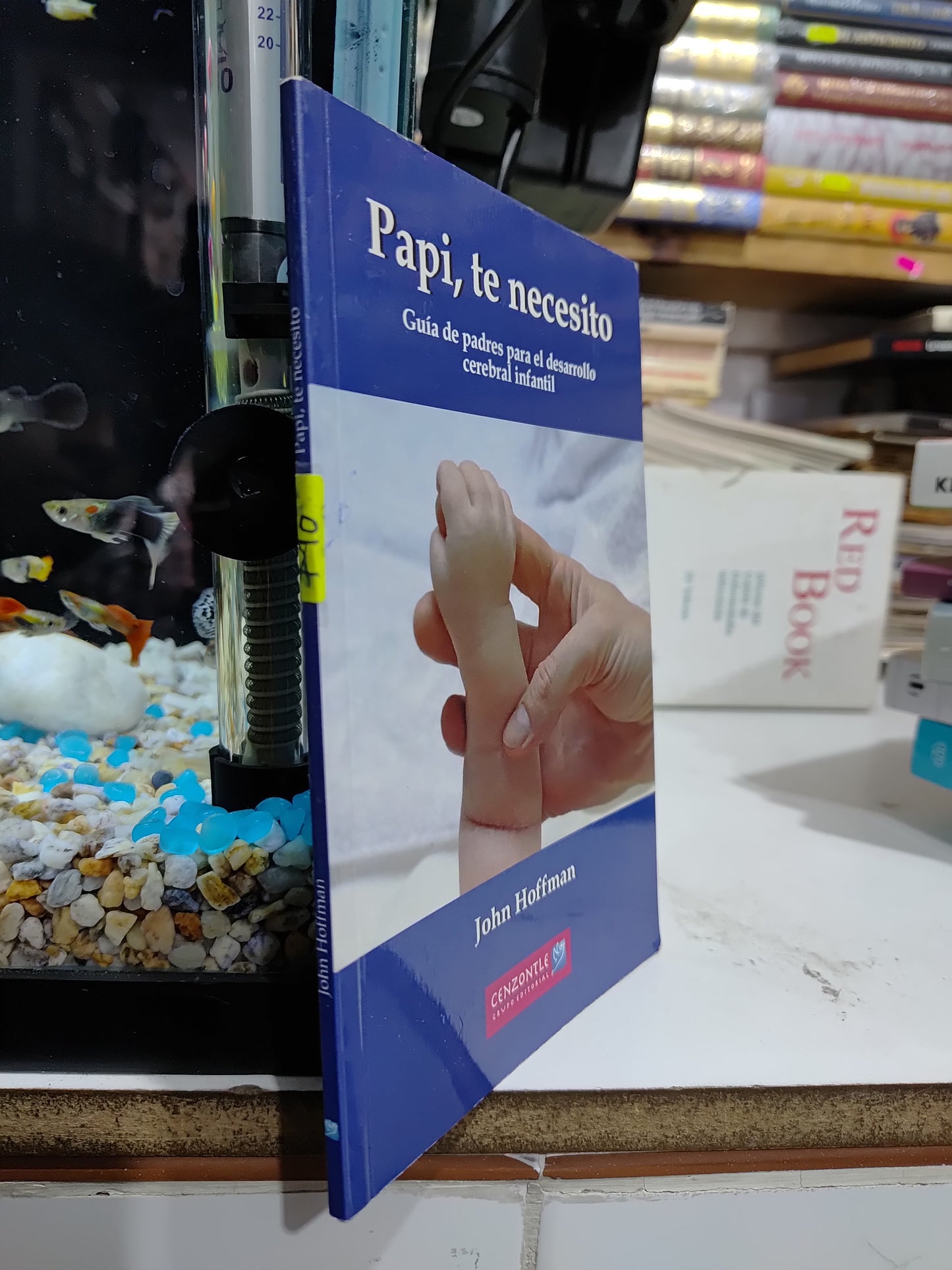 PAPI TE NECESITO POR JOHN HOFFMAN USADO PSICOLOGIA JUAREZ