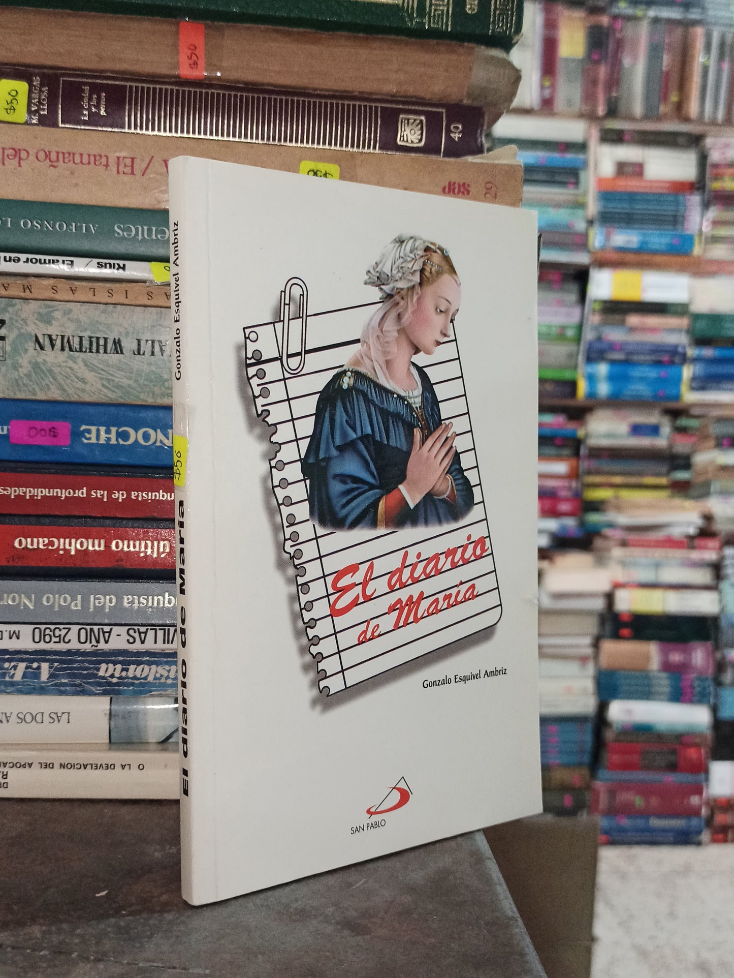 EL DIARIO DE MARIA POR GONZALO ESQUIVEL AMBRIZ USADO NOVELAS ALDAMA