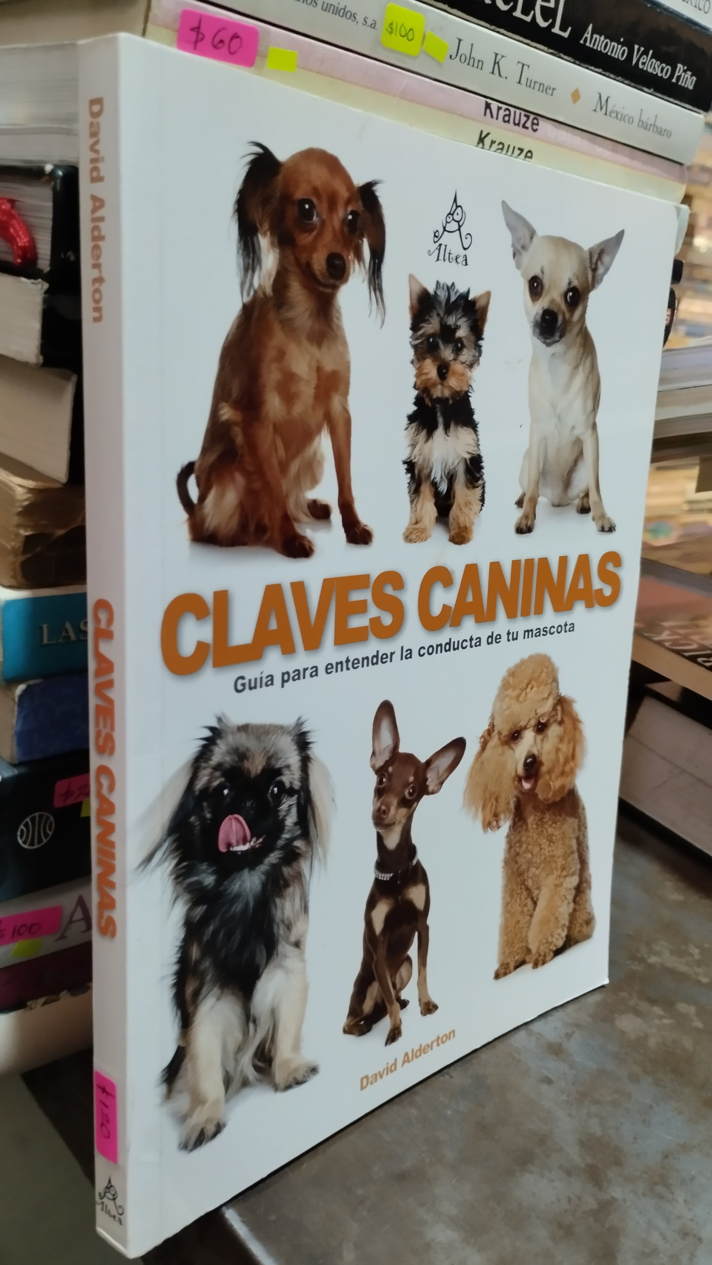 CLAVES CANINAS POR DAVID ALDERTON LIBRO USADO BIOLOGIA ALDAMA