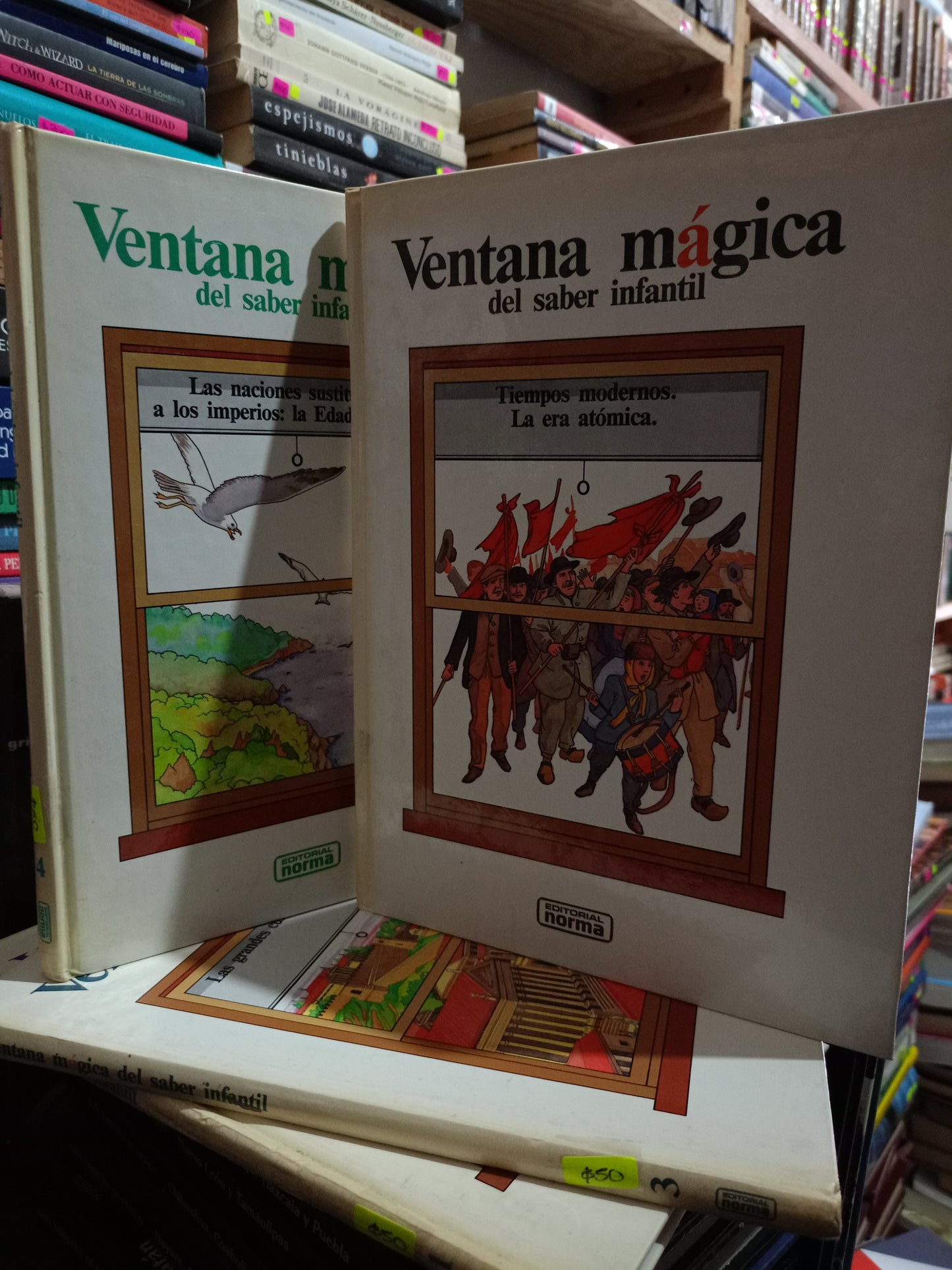 VENTANA MAGICA DEL SABER INFANTIL USADO INFANTIL LITERARIO 305