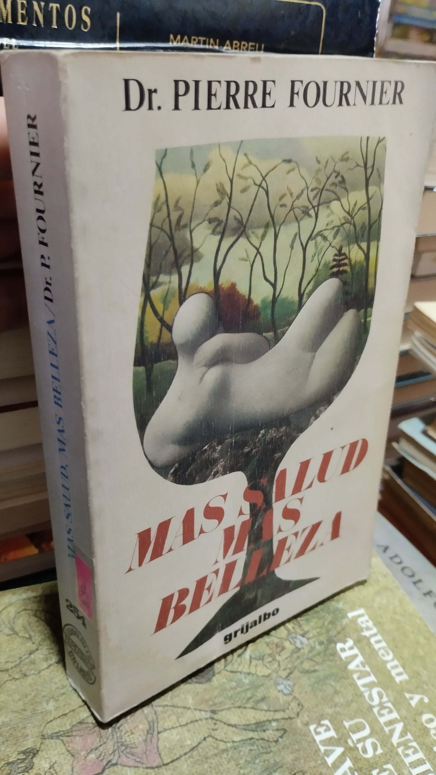 MAS SALUD MAS BELLEZA POR PIERRE FOURNIER LIBRO USADO SALUD ALDAMA