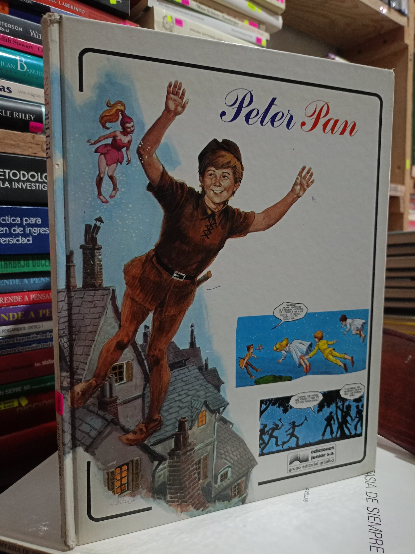PETER PAN USADO INFANTIL LITERARIO 305