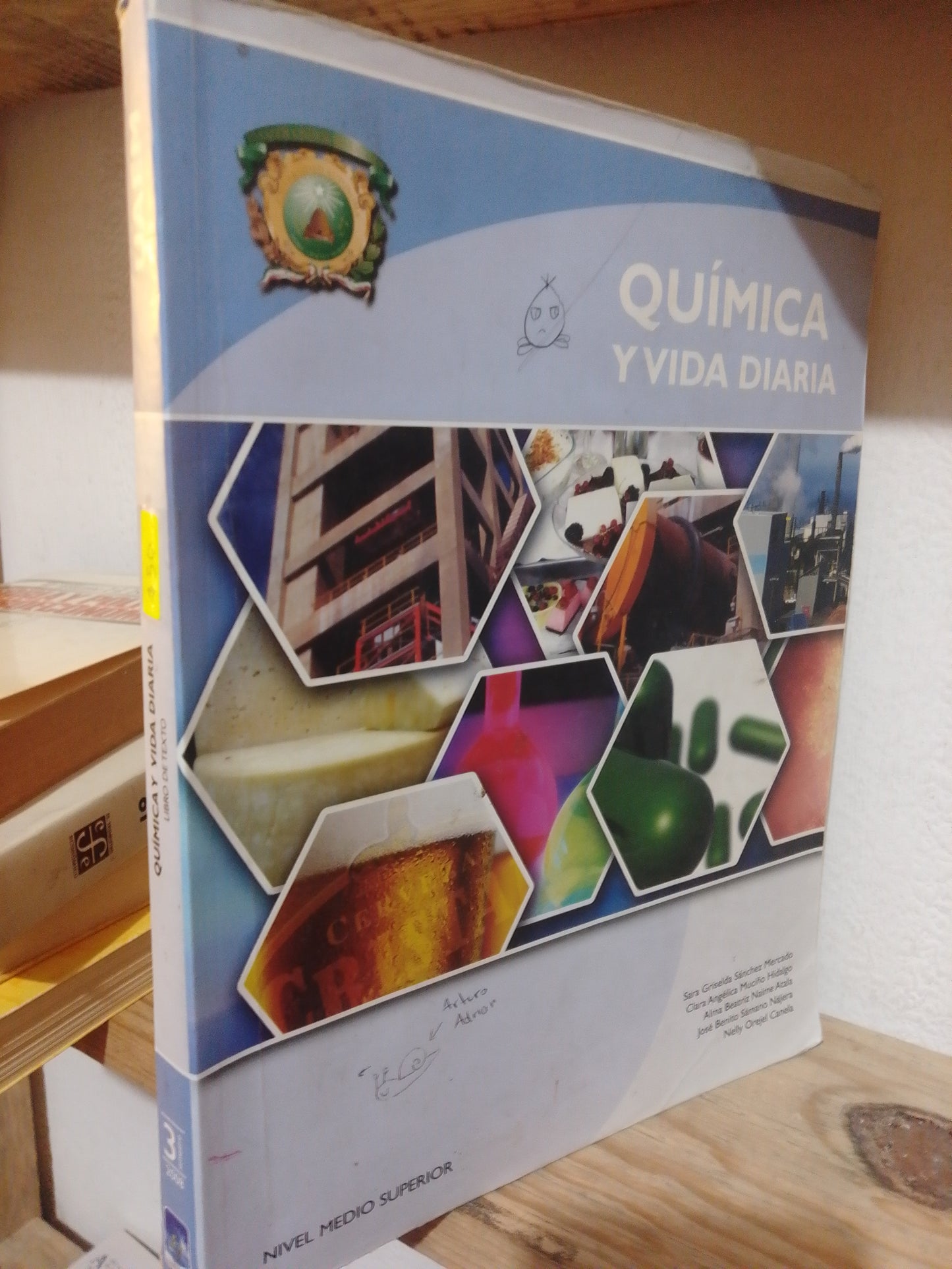QUIMICA Y VIDA DIARIA POE VARIOS AUTORES USADO QUIMICA JUAREZ