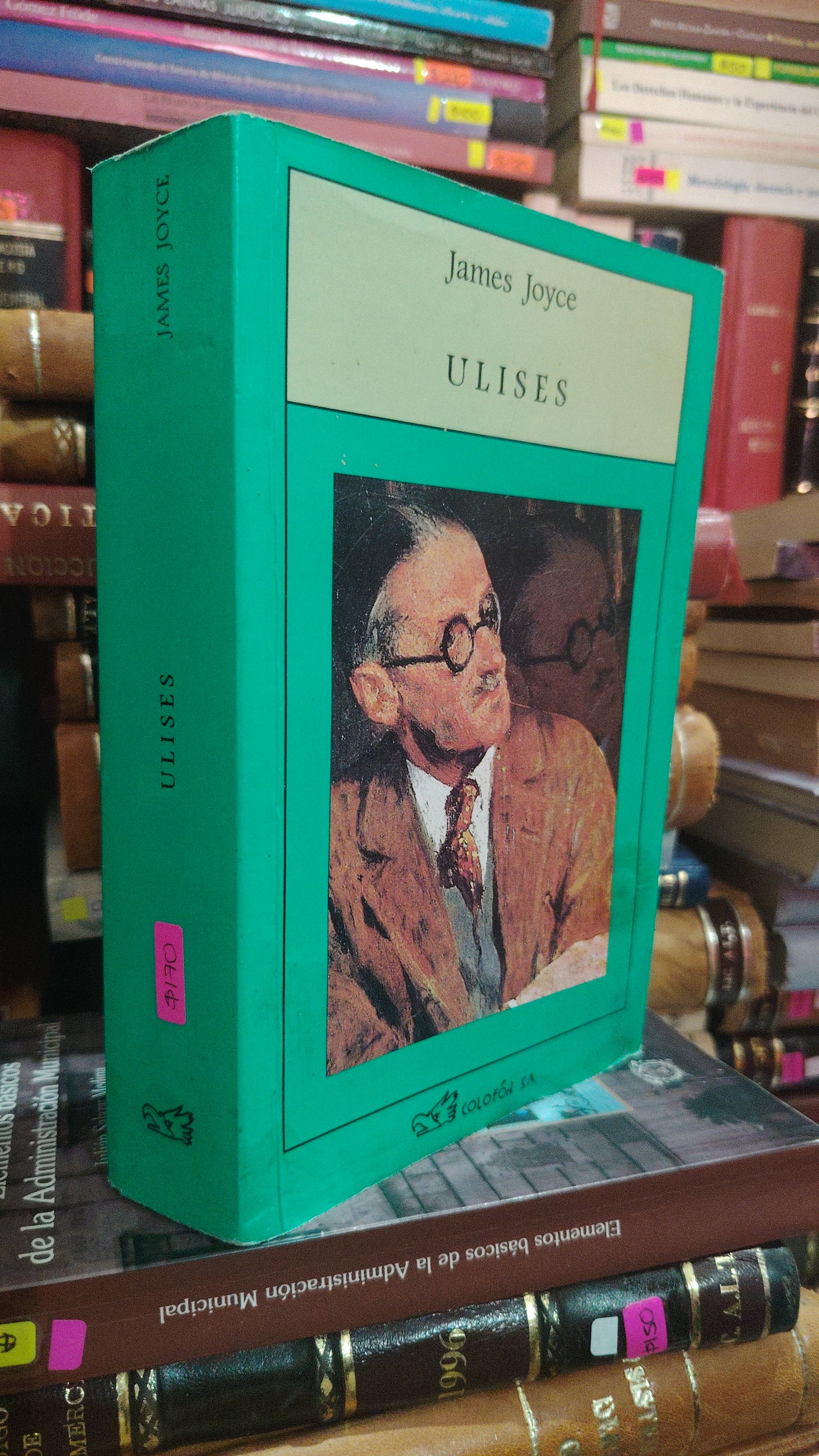 ULISES POR JAMES JOYCE USADO NOVELA INSTITUTO LITERARIO