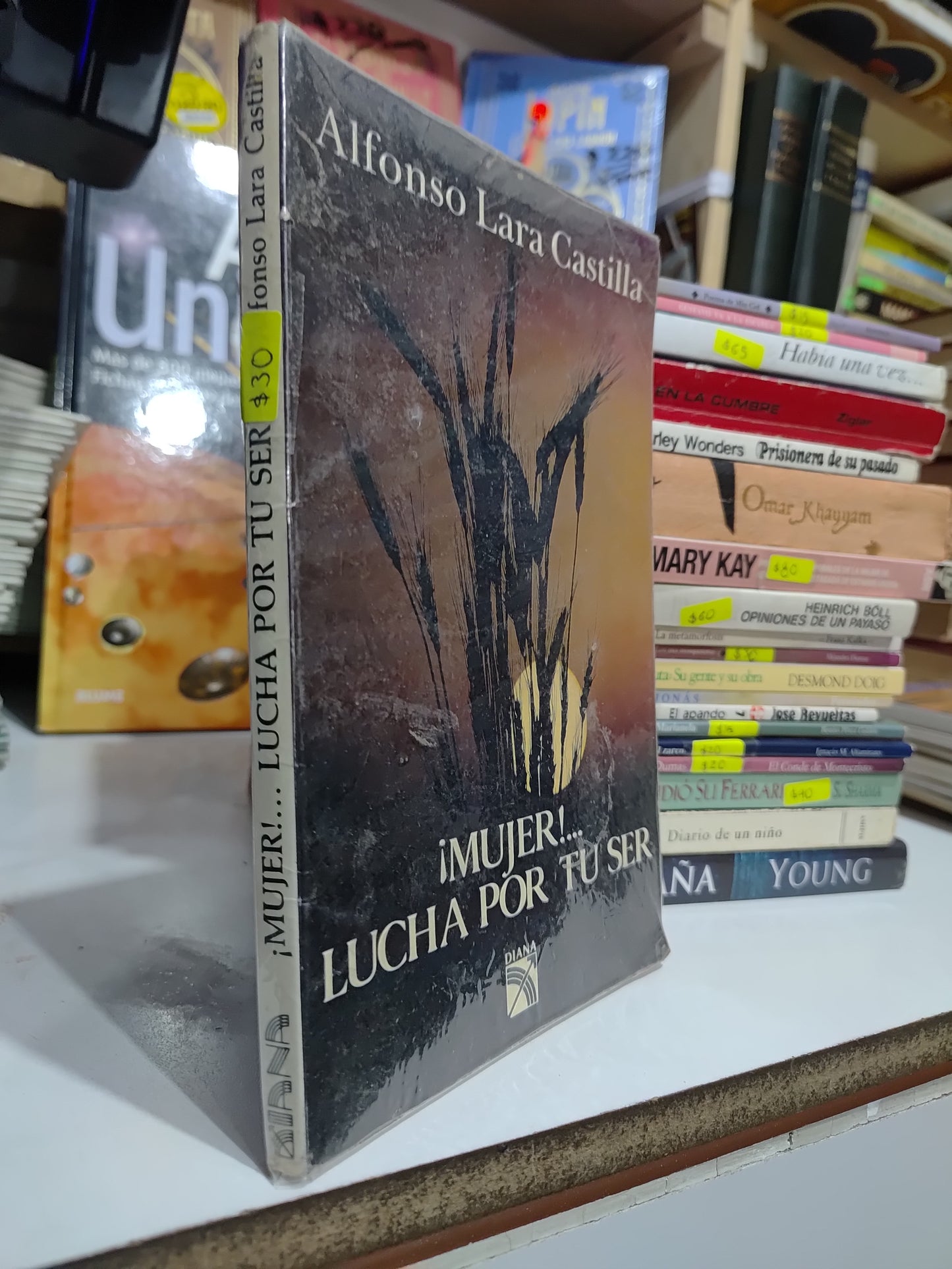MUJER LUCHA POR TU SER POR ALFONSO LARA CASTILLA USADO NOVELAS JUAREZ