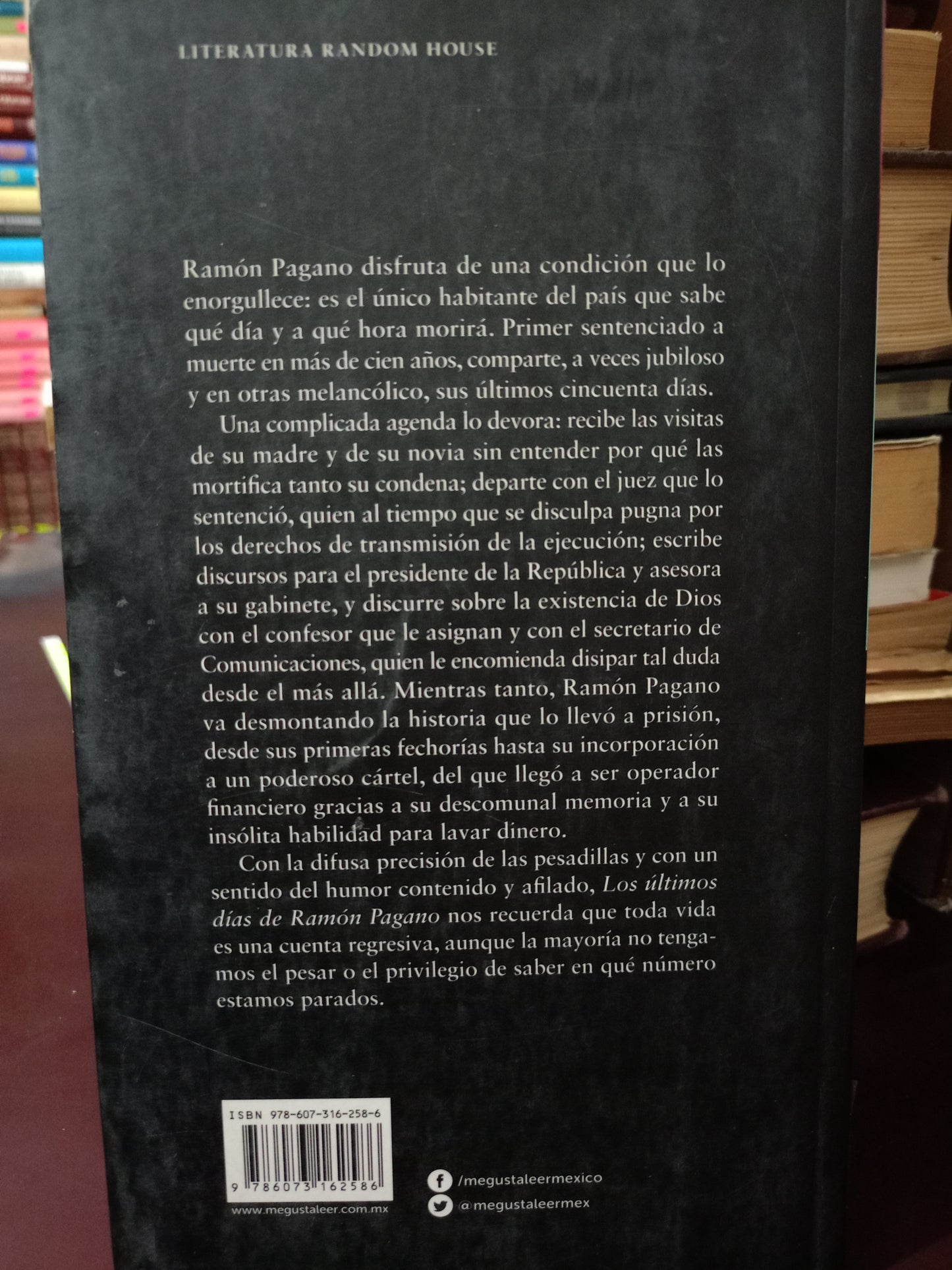 LOS ÚLTIMOS DIAS DE RAMON PAGANO ALEJANDRO HERNÁNDEZ PALAFOX USADO NOVELA LITERARIO 305