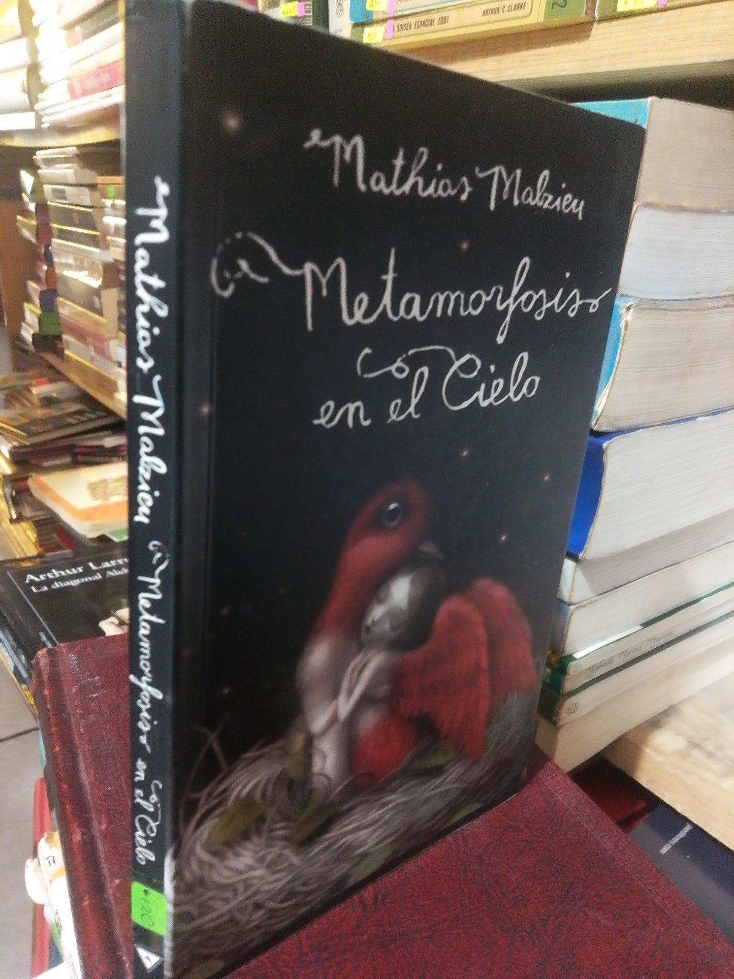 METAMORFOSIS EN EL CIELO POR MATIAS MALZIEU USADO NOVELA JUAREZ