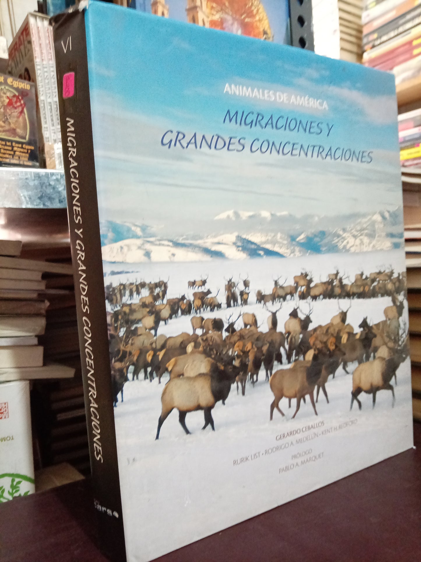 MIGRACIONES Y GRANDES CONCENTRACIONES ANIMALES DE AMERICA USADO HISTORIA LITERARIO 305
