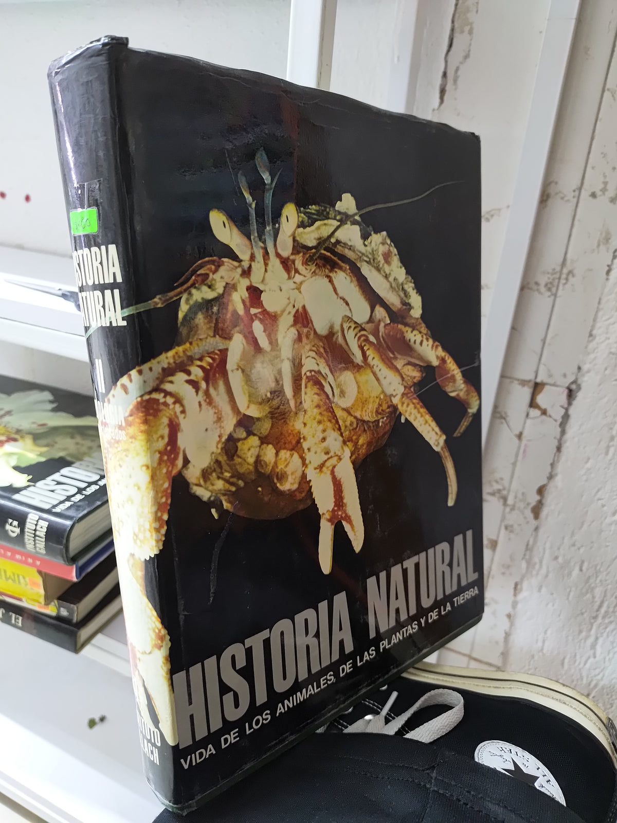 HISTORIA NATURAL 2 POR EDITORIAL GALLACH USADO BIOLOGIA JUAREZ 515