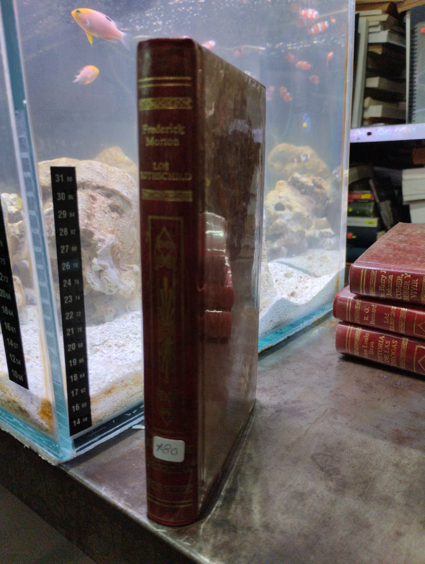 LOS ROTHSCHILD POR FREDERICK MORTON USADO NOVELAS ALDAMA