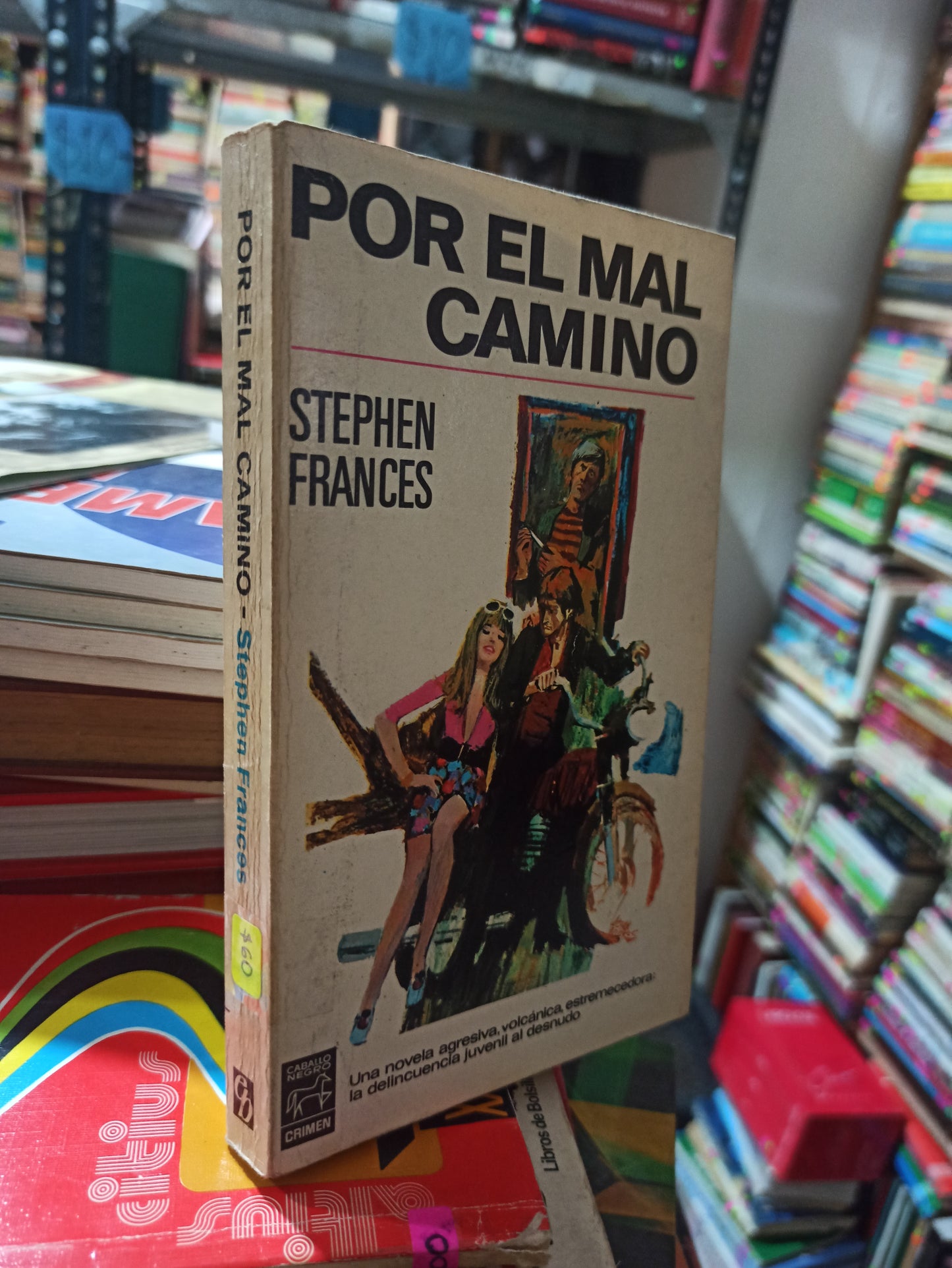 POR EL CAMINO POR STEPHEN FRANCES USADO NOVELAS ALDAMA