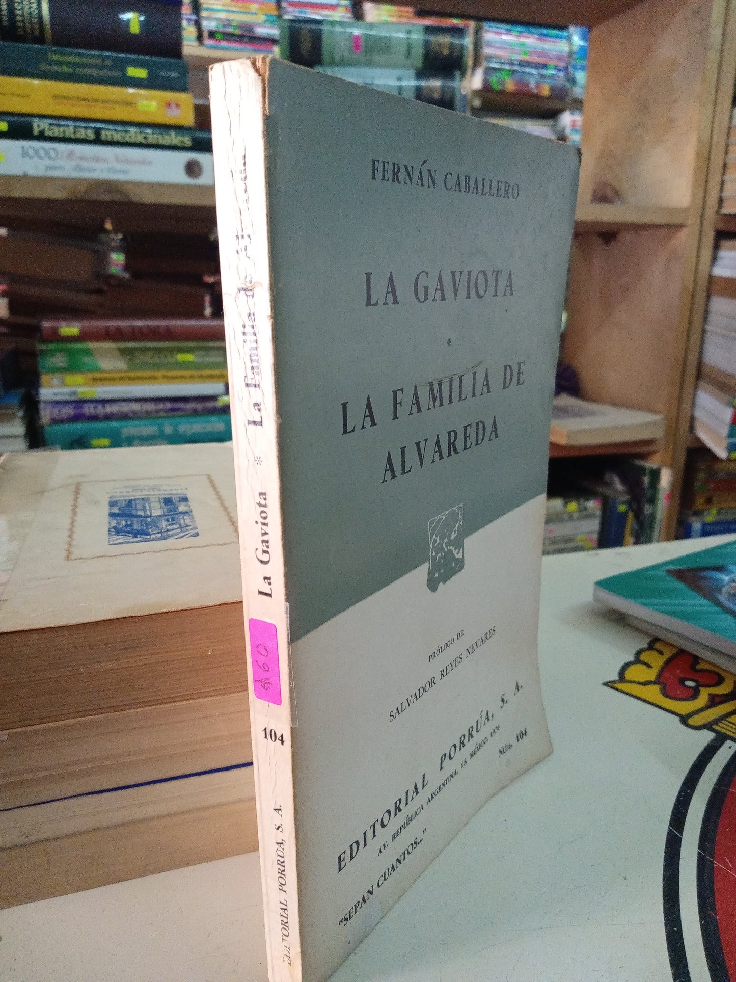 LA GAVIOTA LA FAMILIA DE ALVAREDA USADO NOVELA LITERARIO 207
