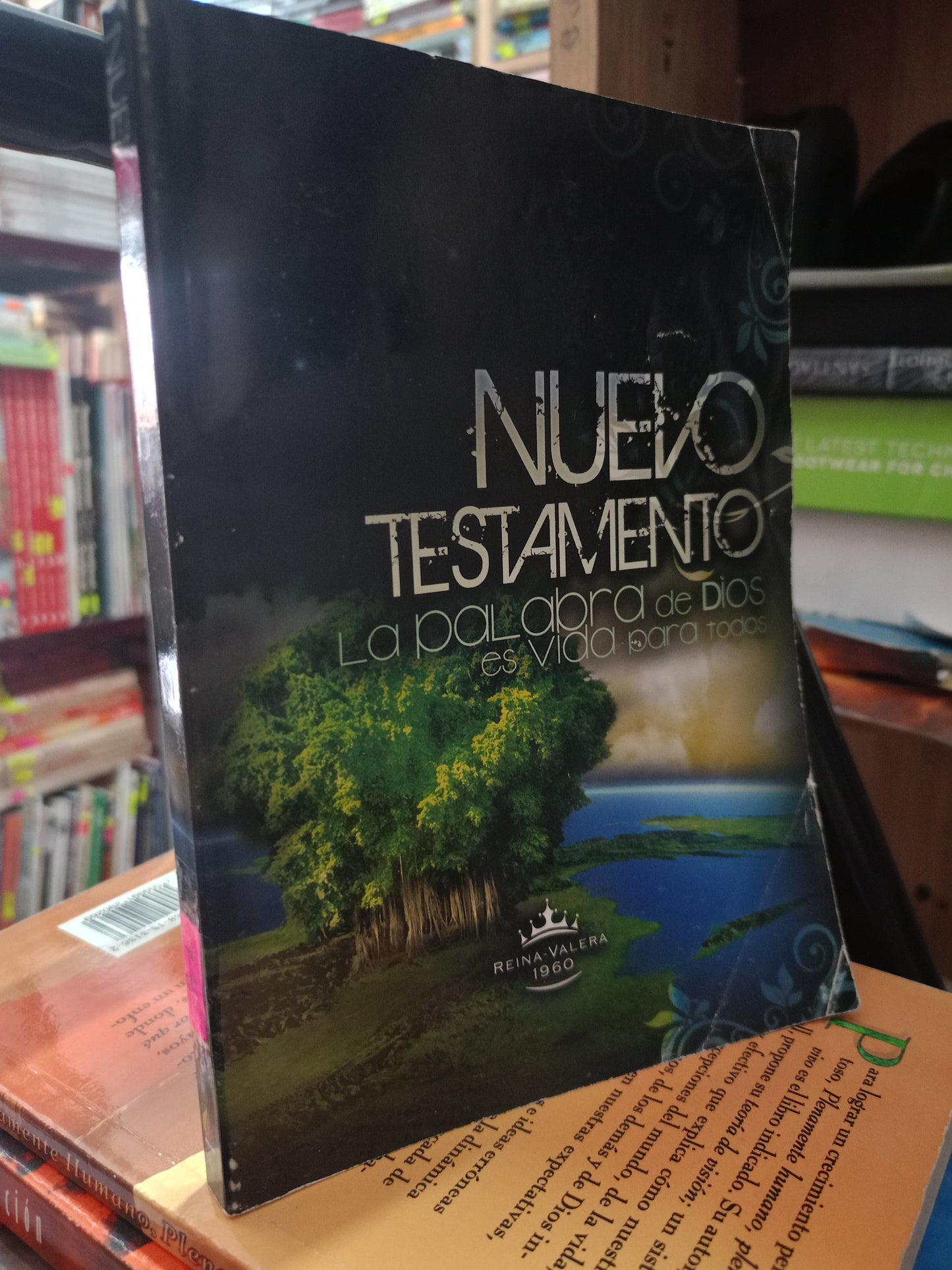 NUEVO TESTAMENTO USADO RELIGIÓN LITERARIO 305