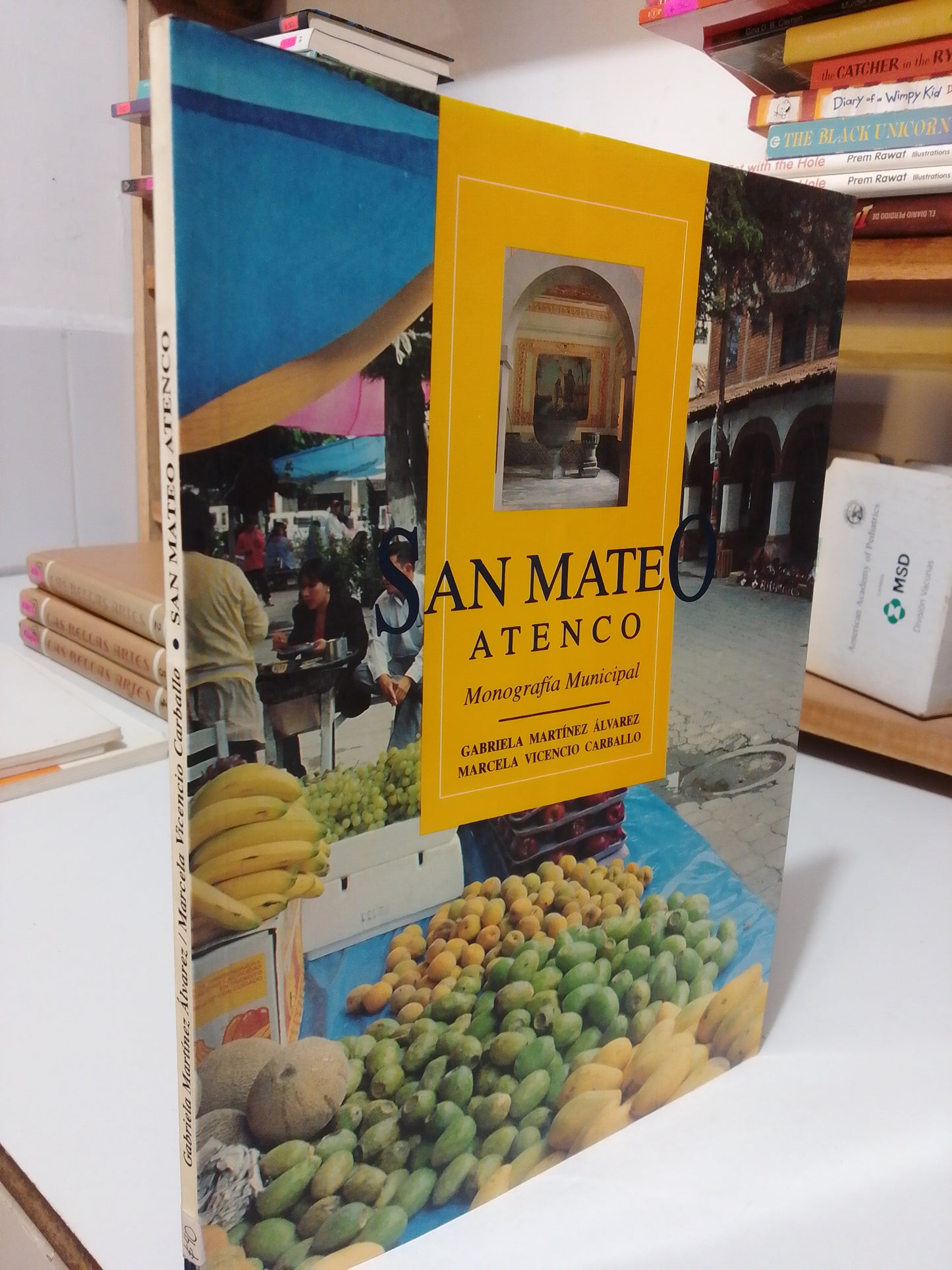 MONOGRAFIA MUNICIPAL SAN MATEO ATENCO POR GABRIELA MARTINEZ ALVAREZ USADO EDOMEX JUÁREZ
