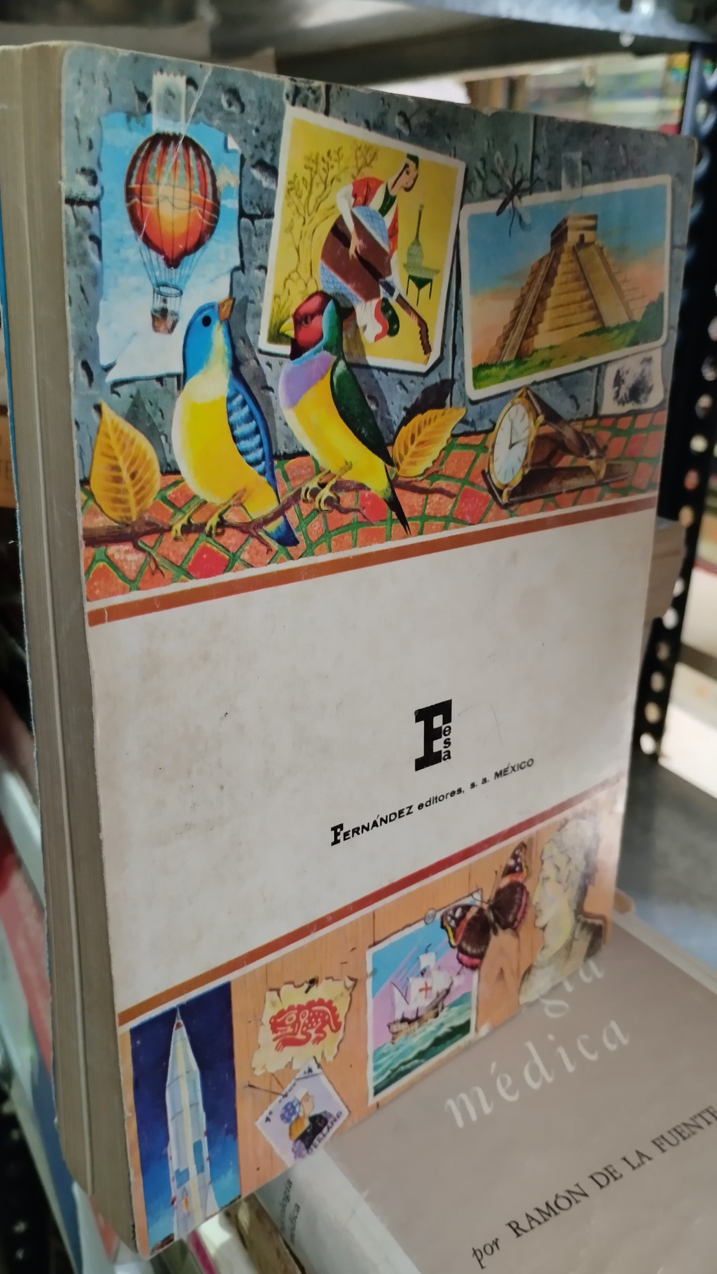 DICCIONARIO CASTELLANO ILUSTRADO POR LEXIRON LIBRO USADO EDUCACIÓN ALDAMA