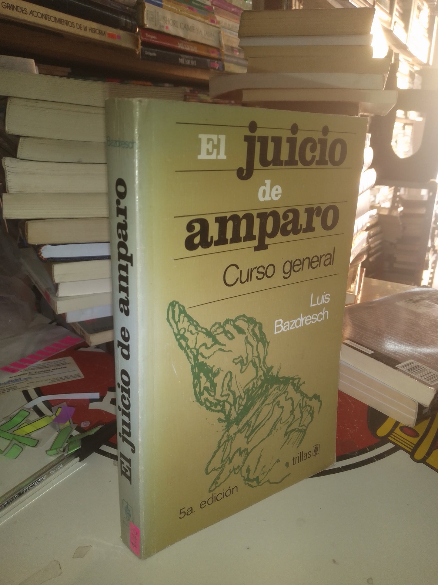 EL JUICIO DE AMPARO. CURSO GENERAL POR LUIS BAZDRESCH USADO DERECHO LITERARIO 207