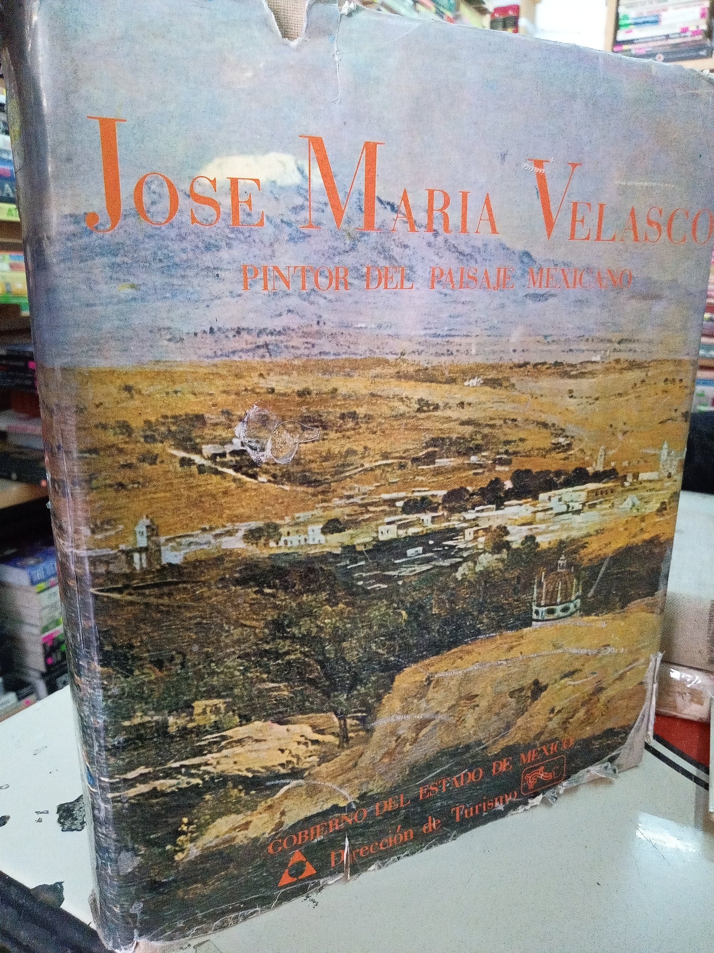 JOSE MARÍA VELASCO PINTOR DEL PAISAJE MEXICANO USADO ARTE LITERARIO 207