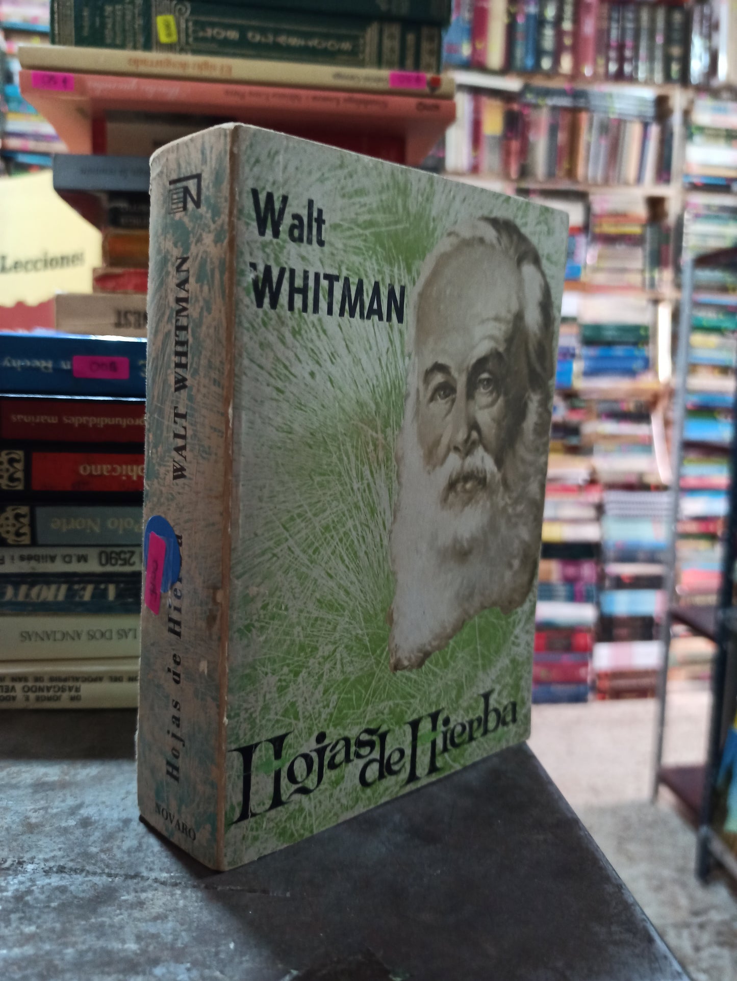 HOJAS DE HIERBA POR WALT WITHMAN USADO NOVELAS ALDAMA