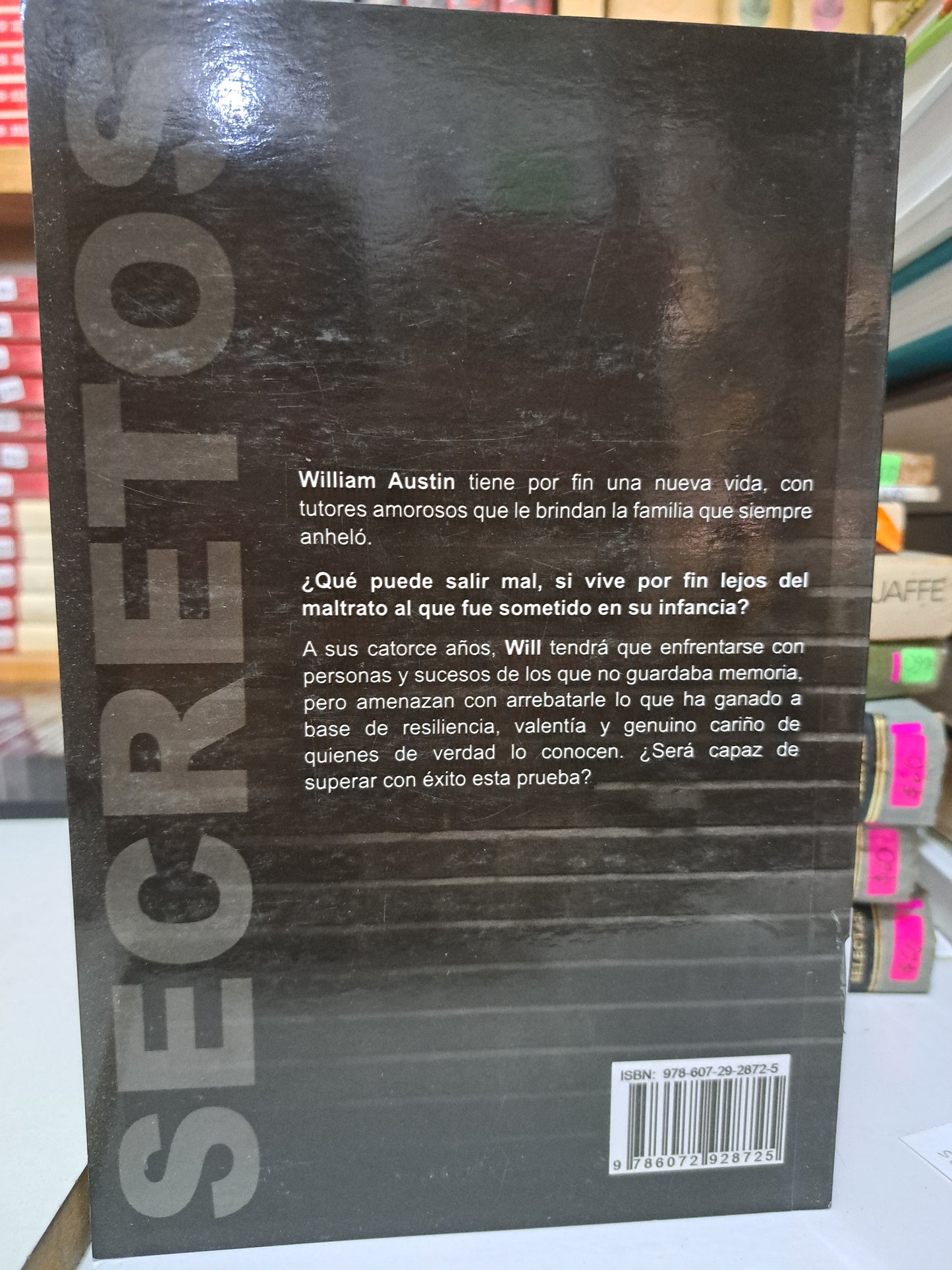 SECRETOS CARINA BENÍTEZ ZAMUDIO USADO NOVELA JUÁREZ