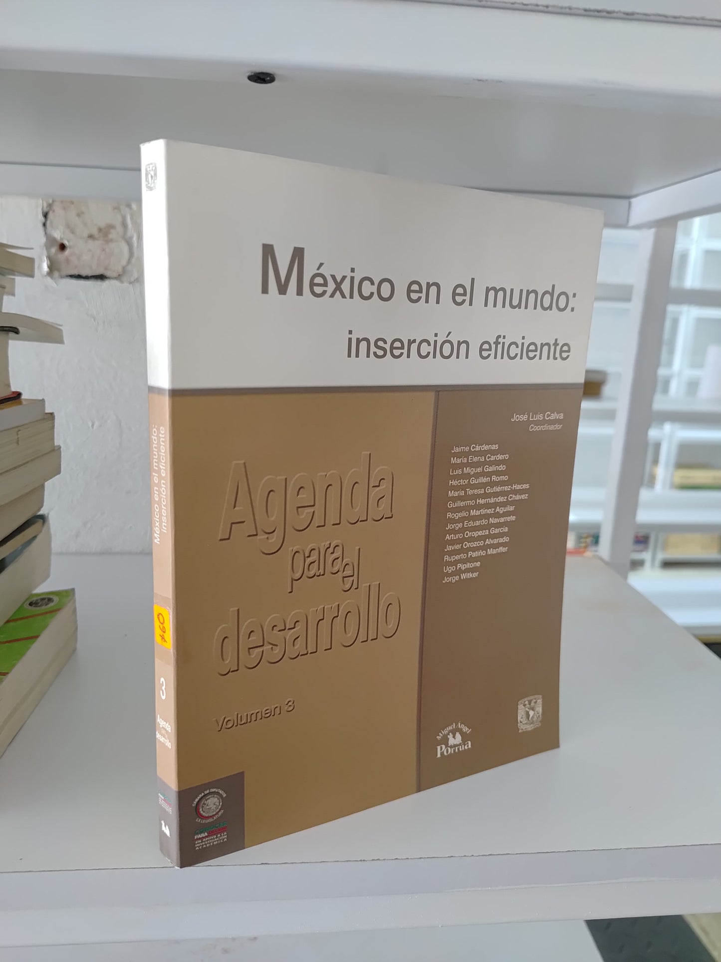 MEXICO EN EL MUNDO INSERCION EFICIENTE POR VARIOS AUTORES USADO SOCIOLOGIA JUAREZ 515