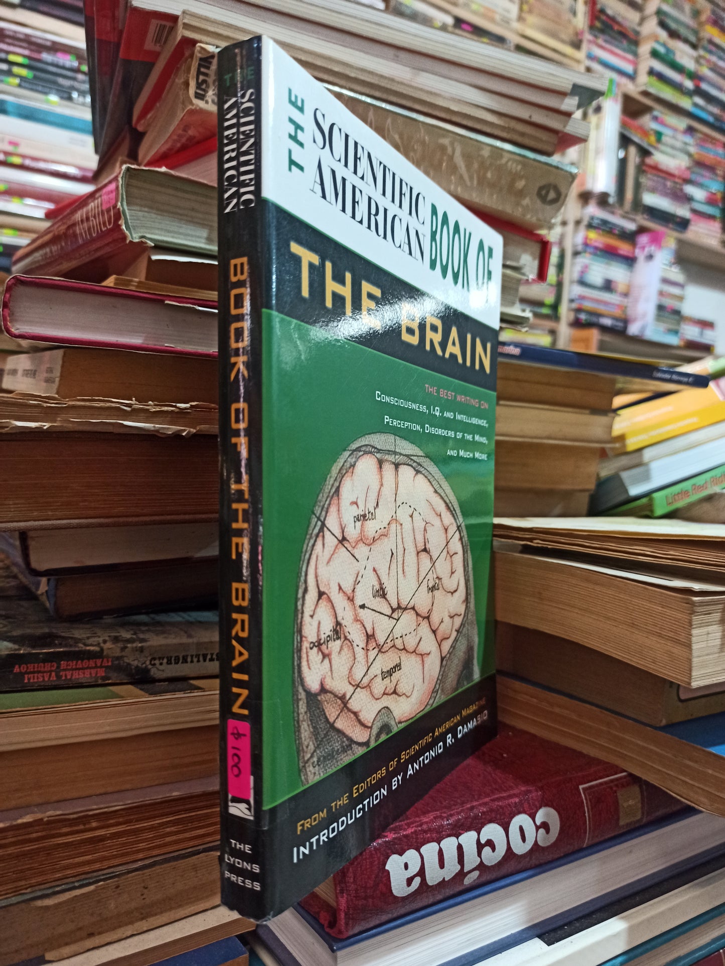THE SCIENTIFIC AMERICAN BOOK OF THE BRAIN POR ANTONIO R. DAMASIO USADO PSICOLOGÍA ALDAMA