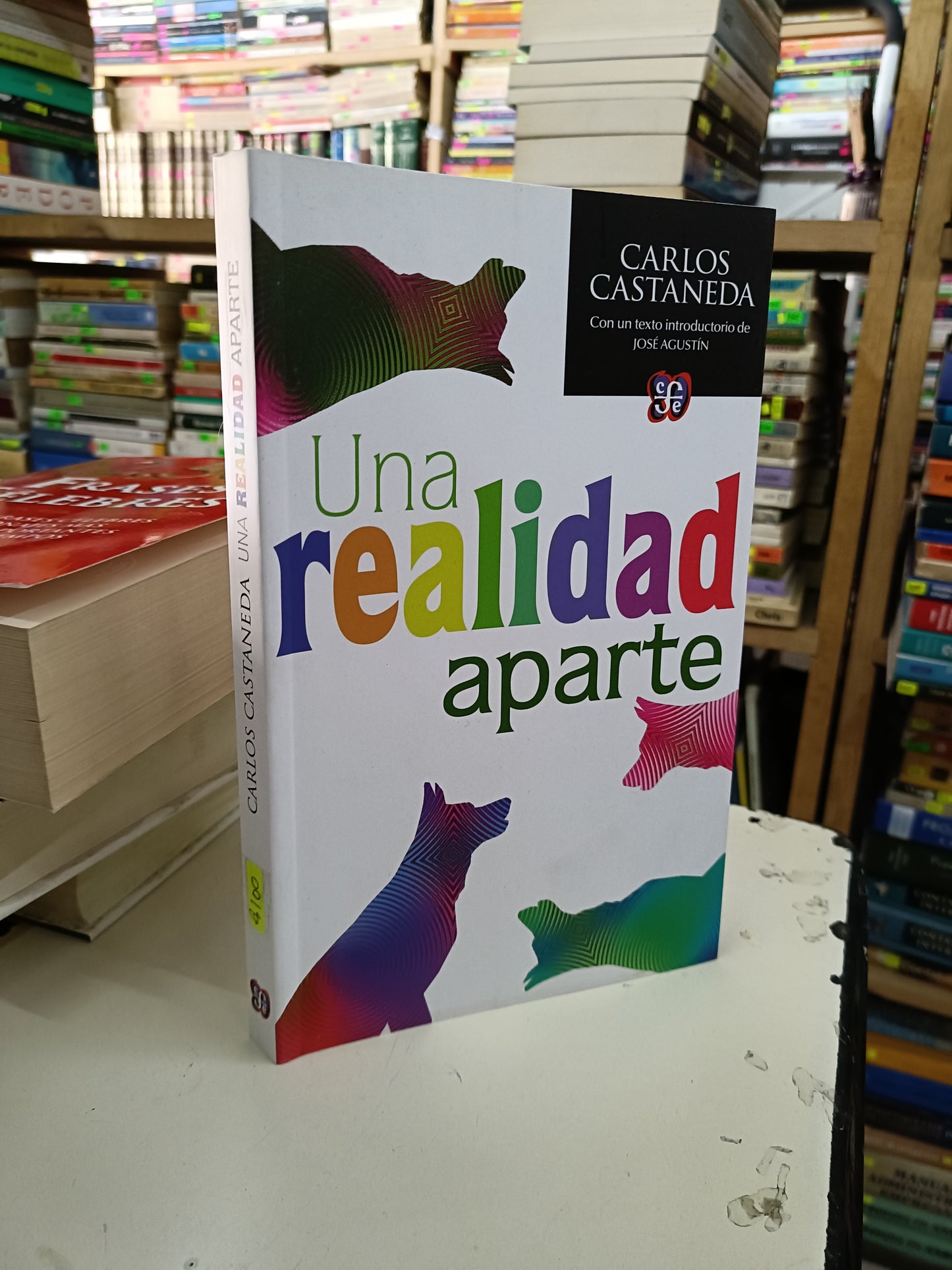 UNA REALIDAD APARTE POR CARLOS CASTAÑEDA USADO NOVELA LITERARIO 207