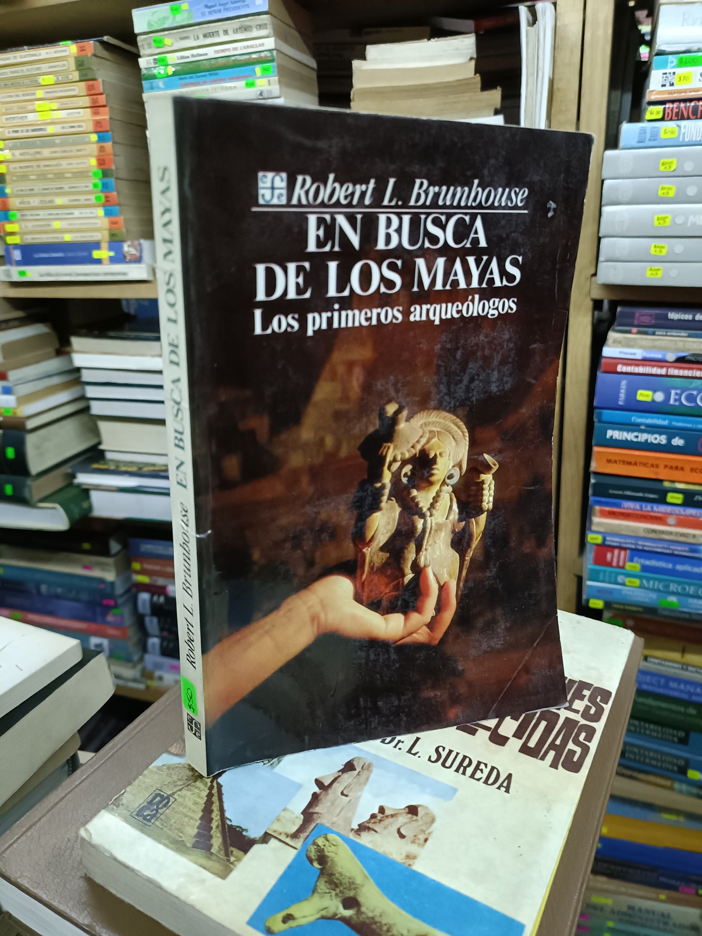 EN BUSCA DE LOS MAYAS POR ROBERT L. BRUNHOUSE USADO HISTORIA LITERARIO 207